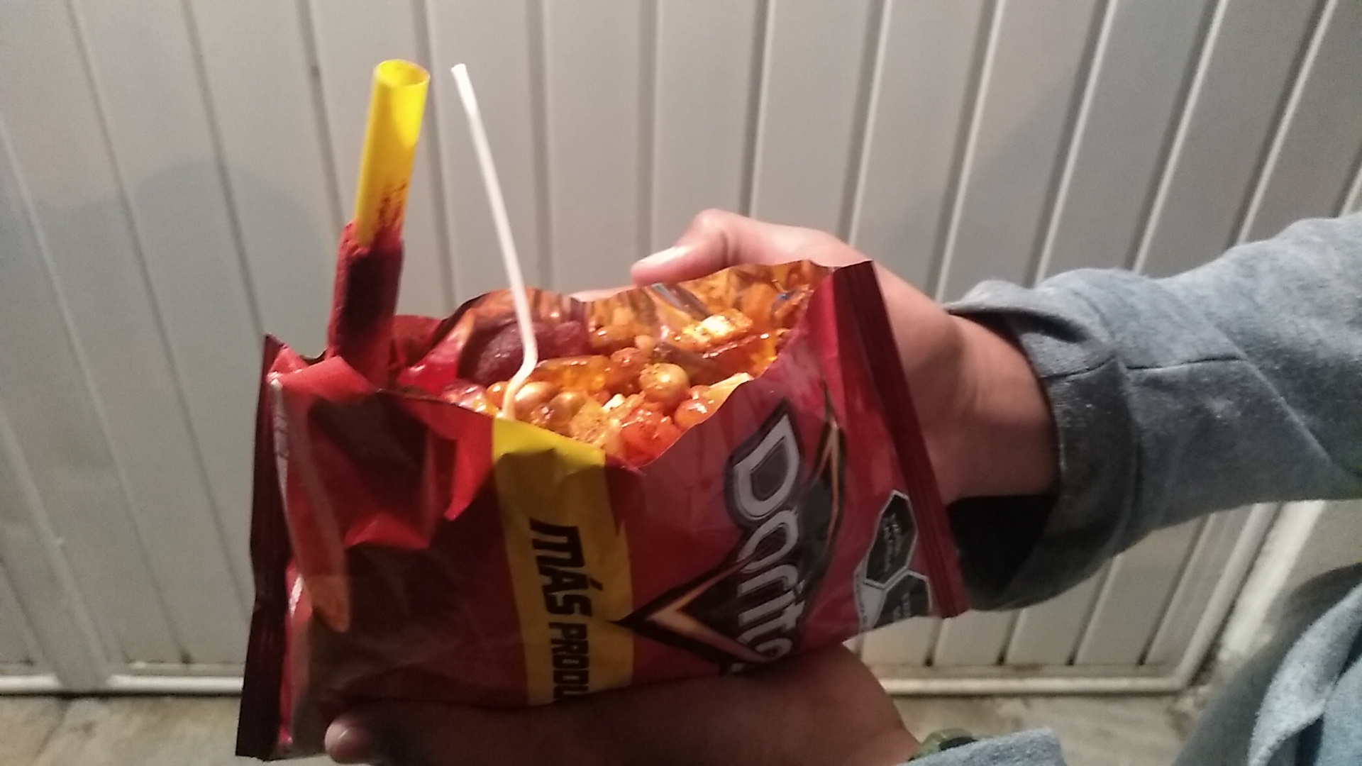 Antojitos Mexicanos, plátanos fritos, dorilocos DOÑA SUSI image 1