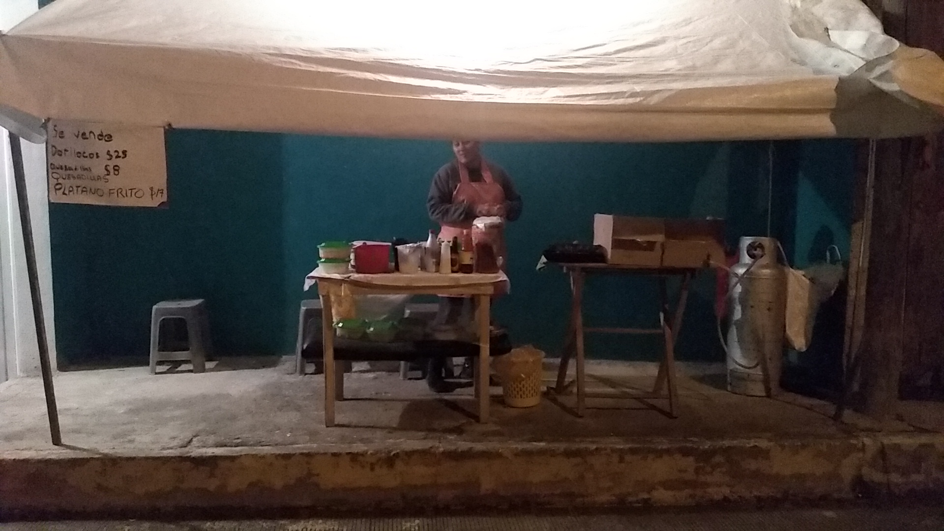 Antojitos Mexicanos, plátanos fritos, dorilocos DOÑA SUSI image 3