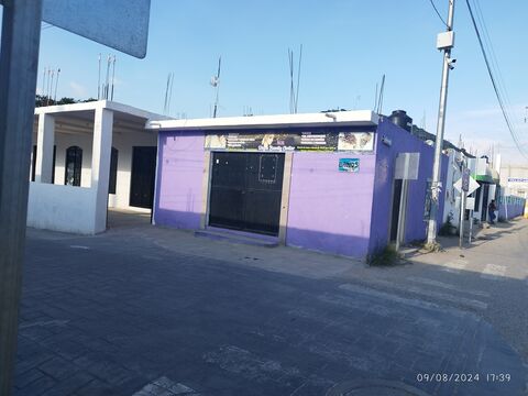 Taquería "EL REY DEL TACO" image 7