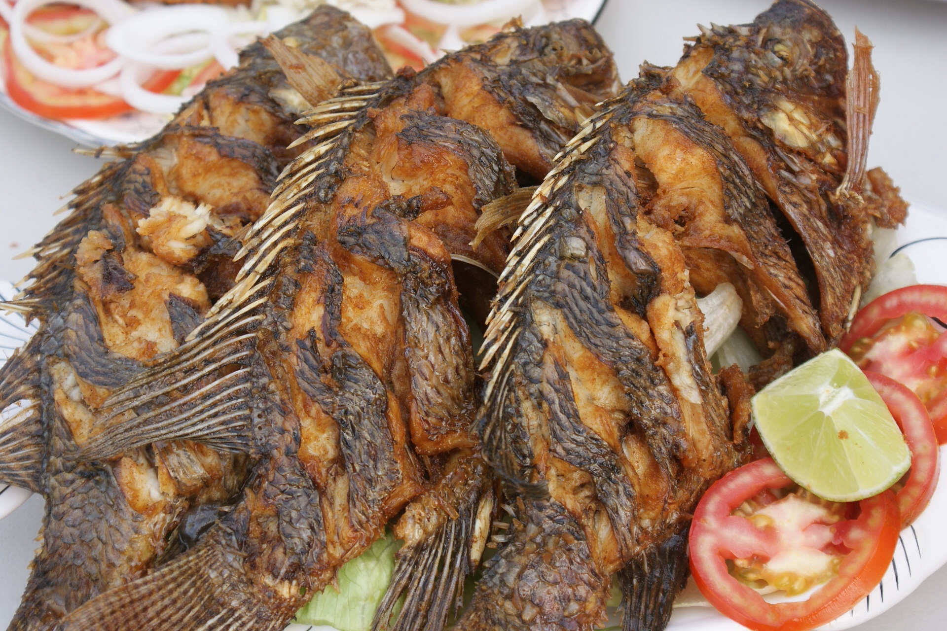 Restaurante LUZMAR image 2