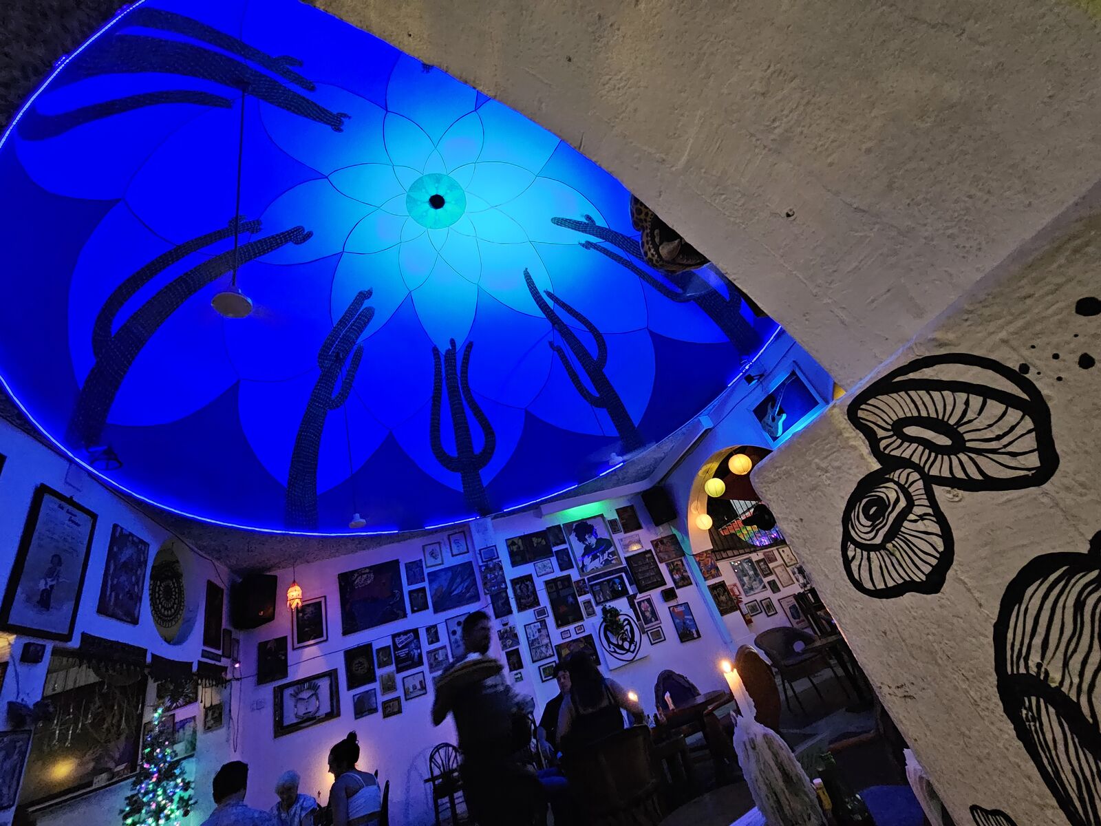 La Crema Bar image 4