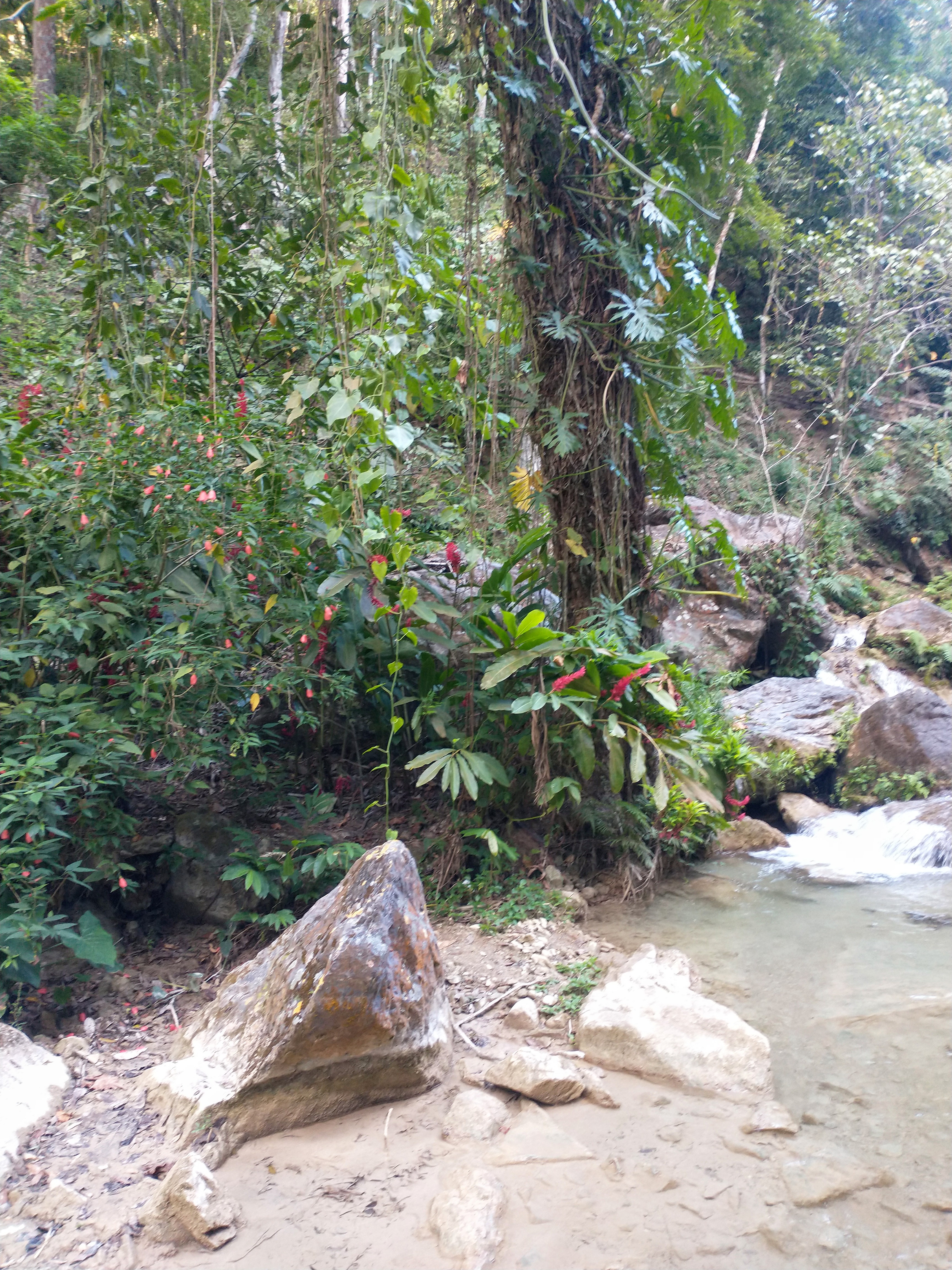 Restaurante La Xhunca image 10