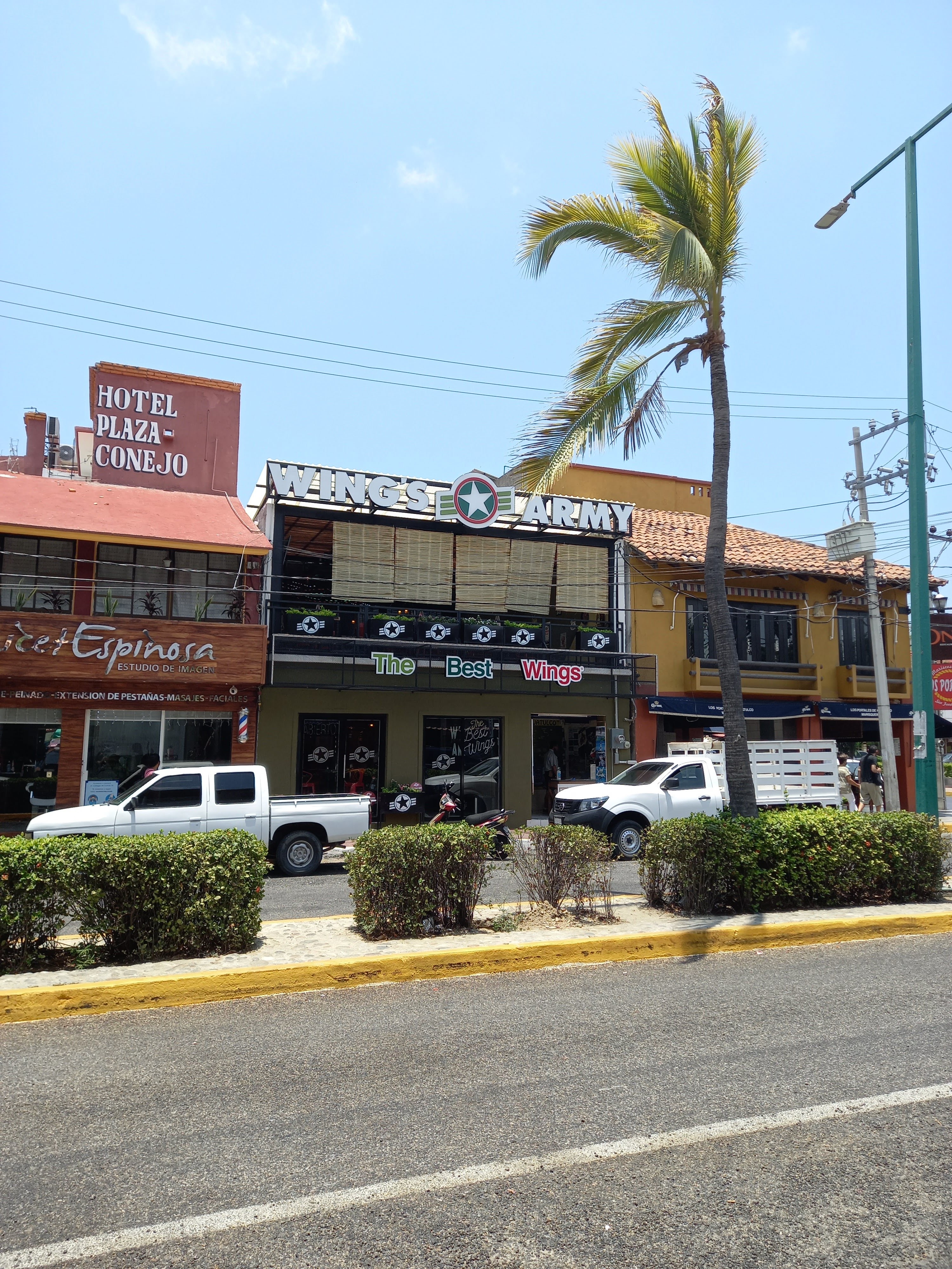 Wings Army Huatulco image 1