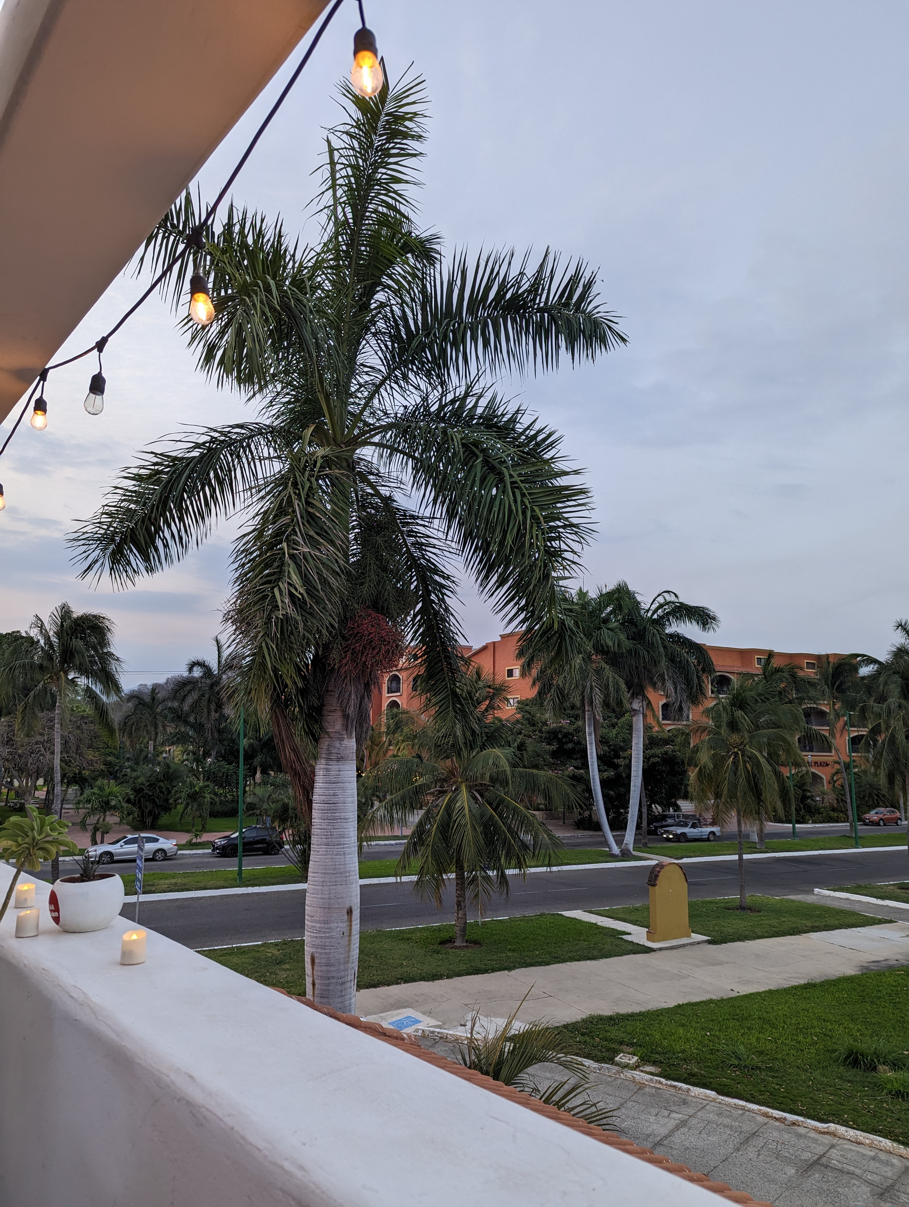 Vienna Huatulco image 8