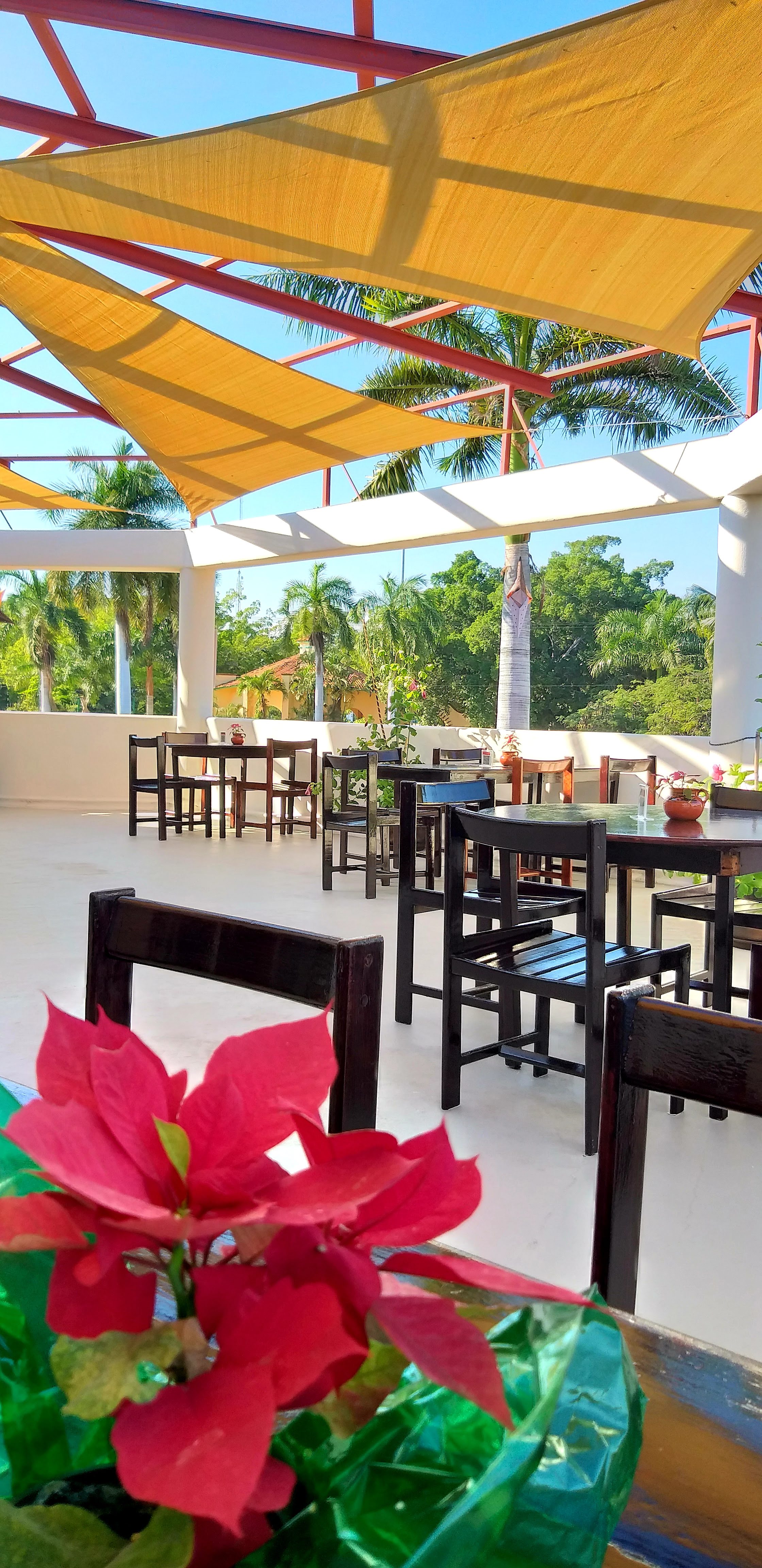 Vienna Huatulco image 10