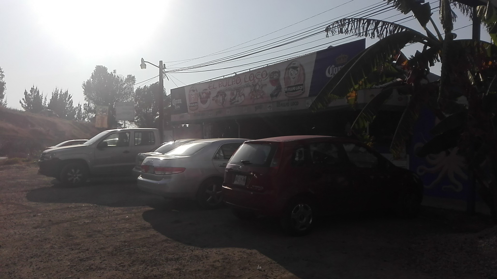 El Pulpo Loco Marisquería image 6