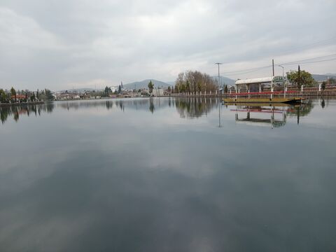 Las Rosas image 4
