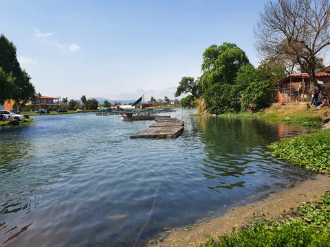Las Rosas image 5