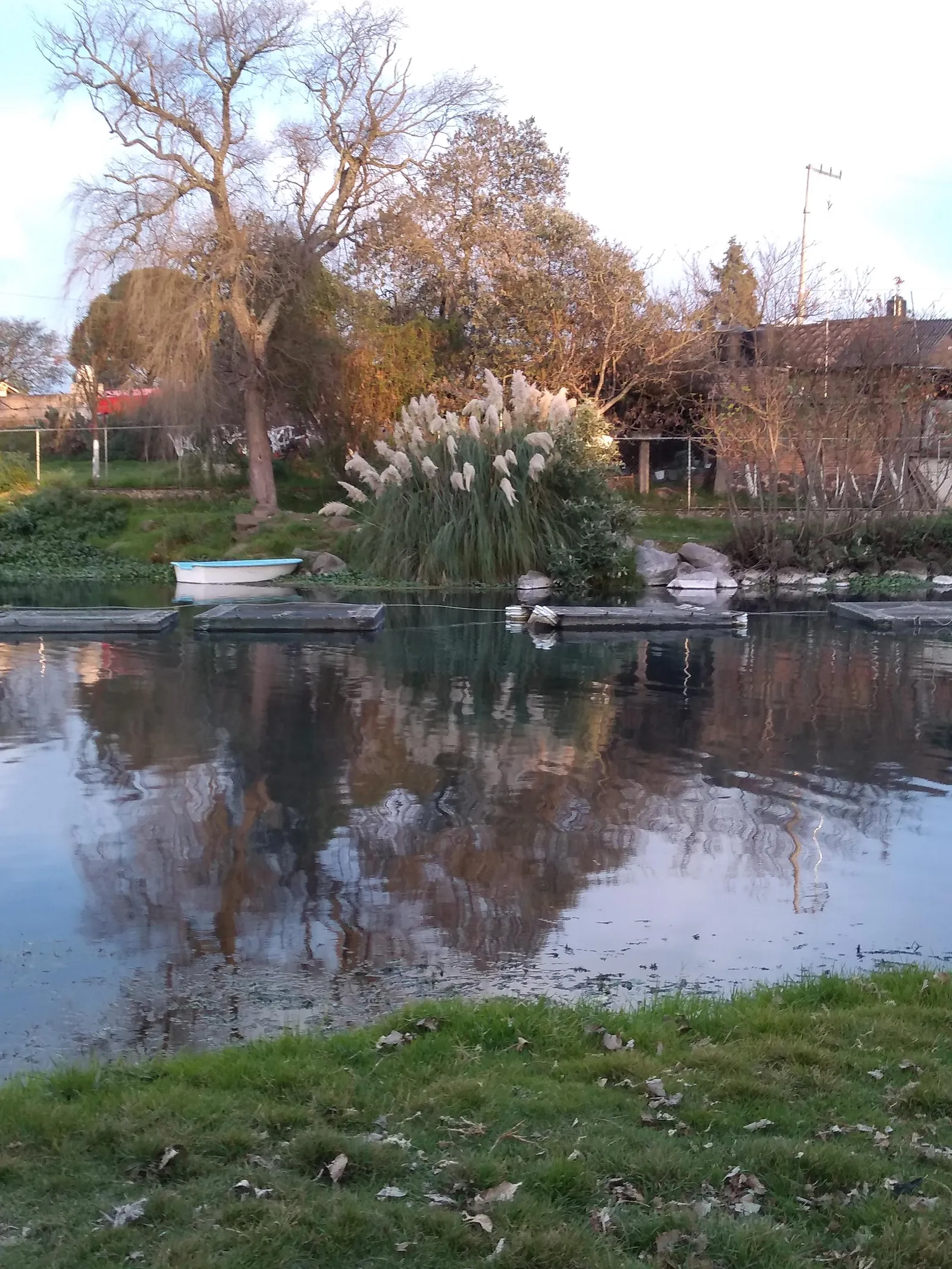 Las Rosas image 9