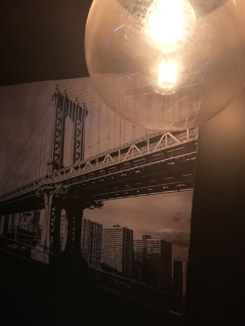 BRONX image 7