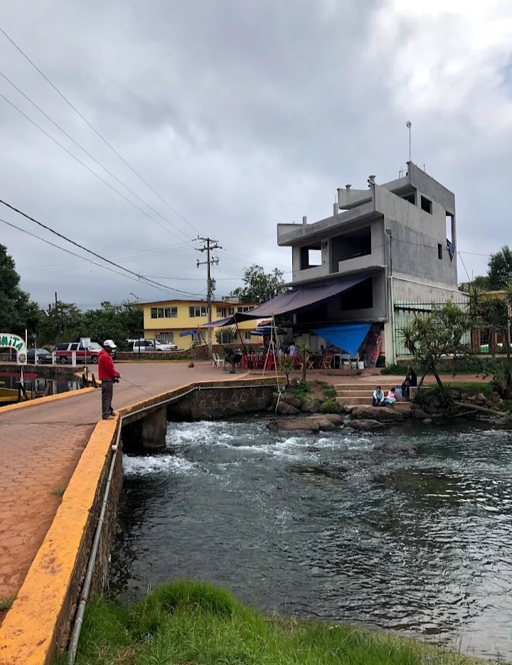 Antojitos "El Vivero" image 6