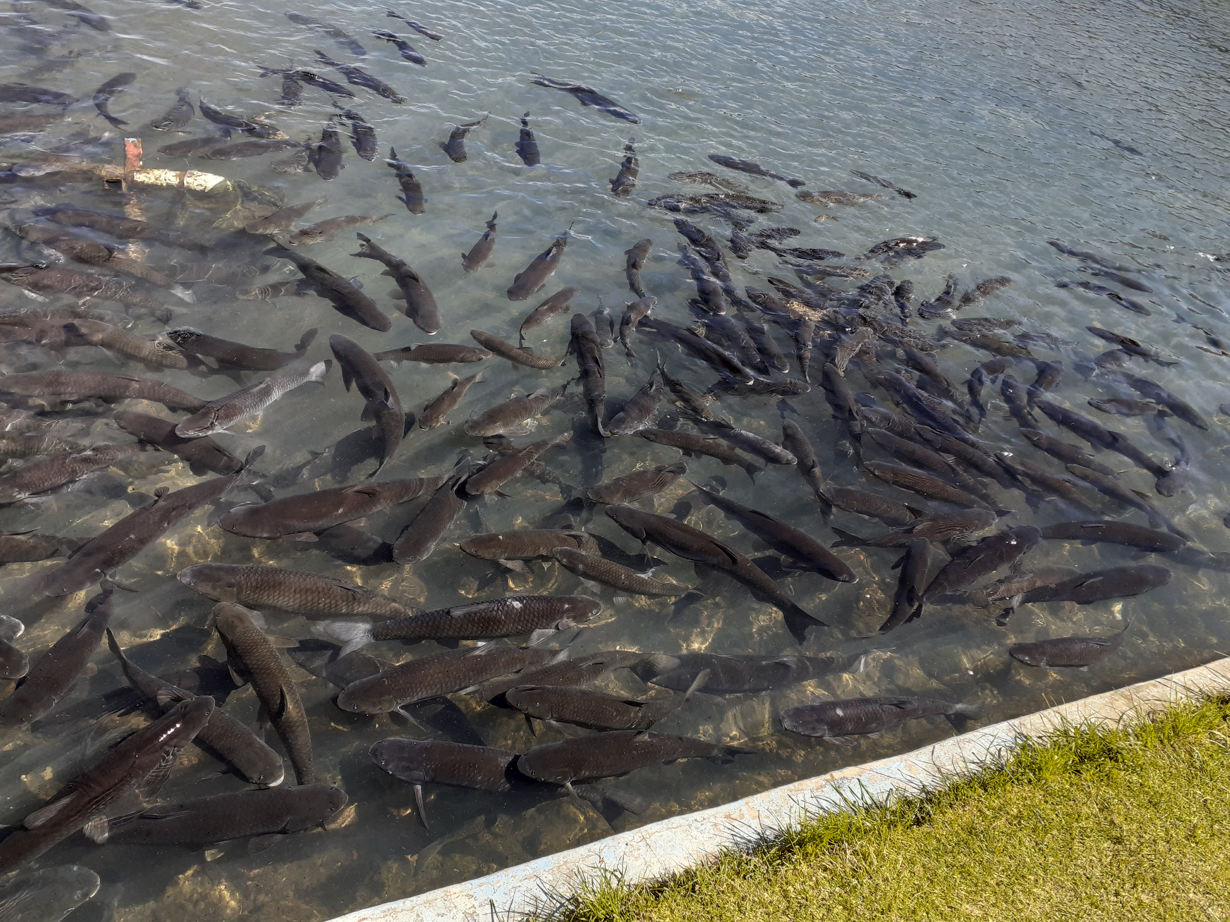 La Casa de la Laguna image 6