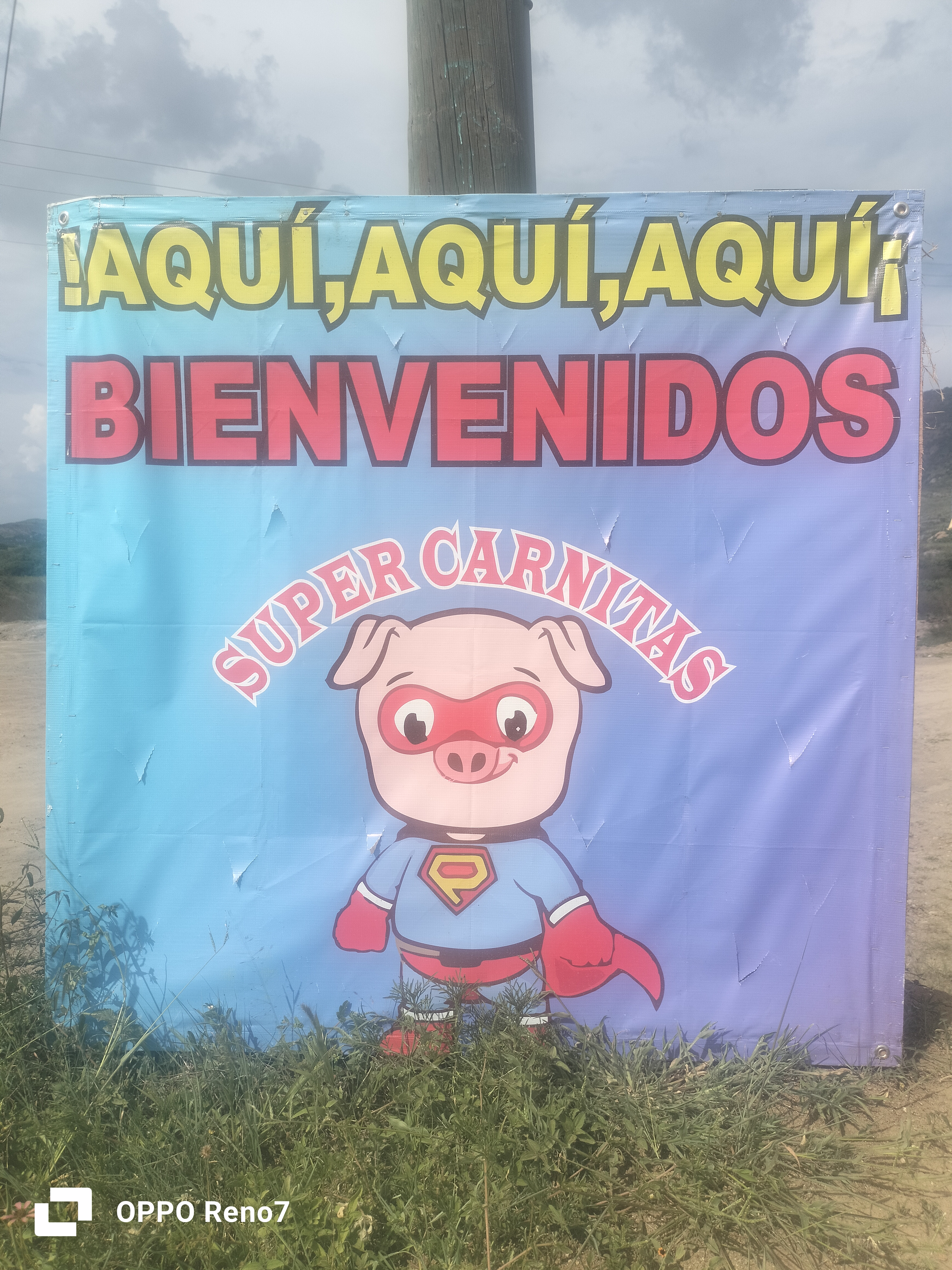 Super Carnitas image 7
