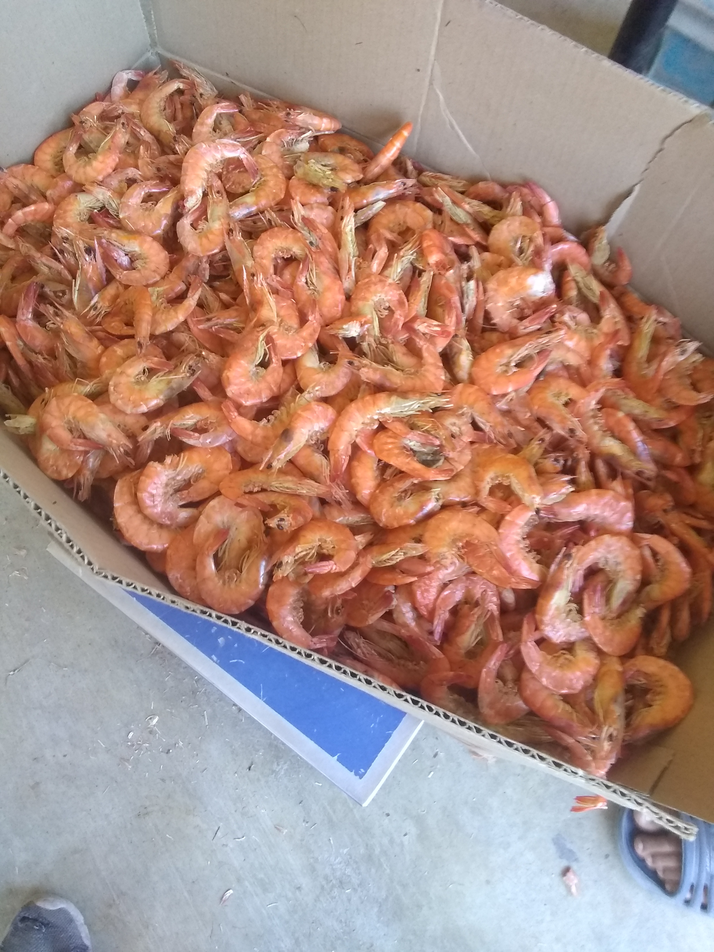 Tamales y mariscos chikis image 4