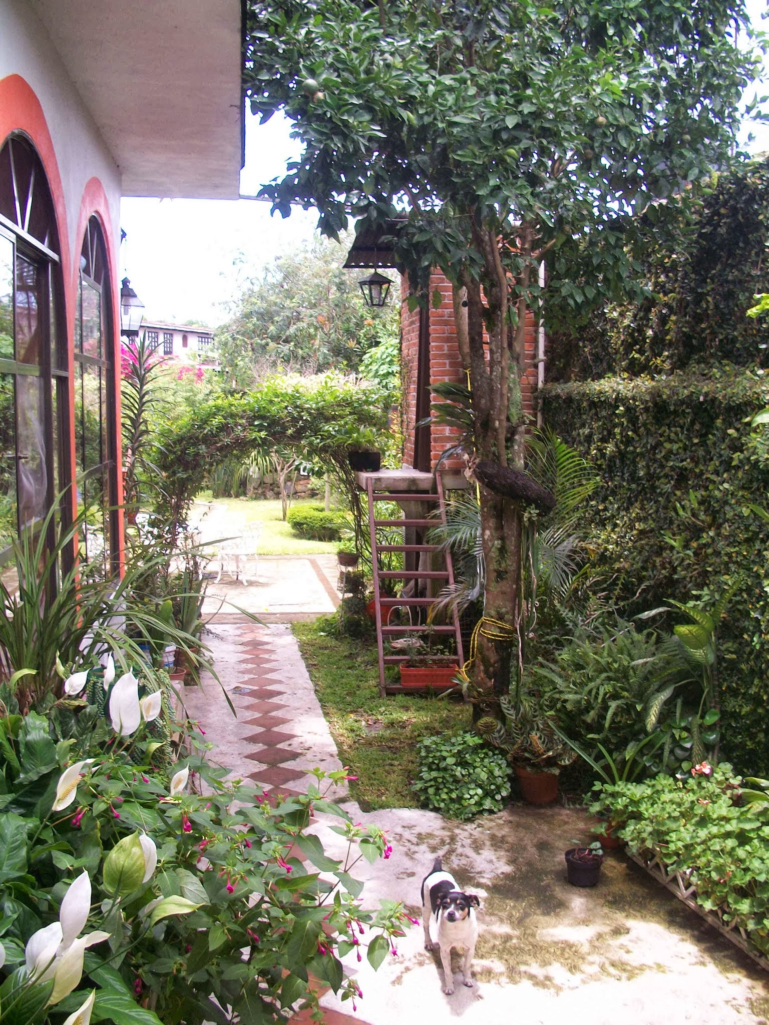 Restaurante Acamalin image 7
