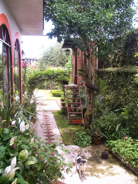 Restaurante Acamalin image 7