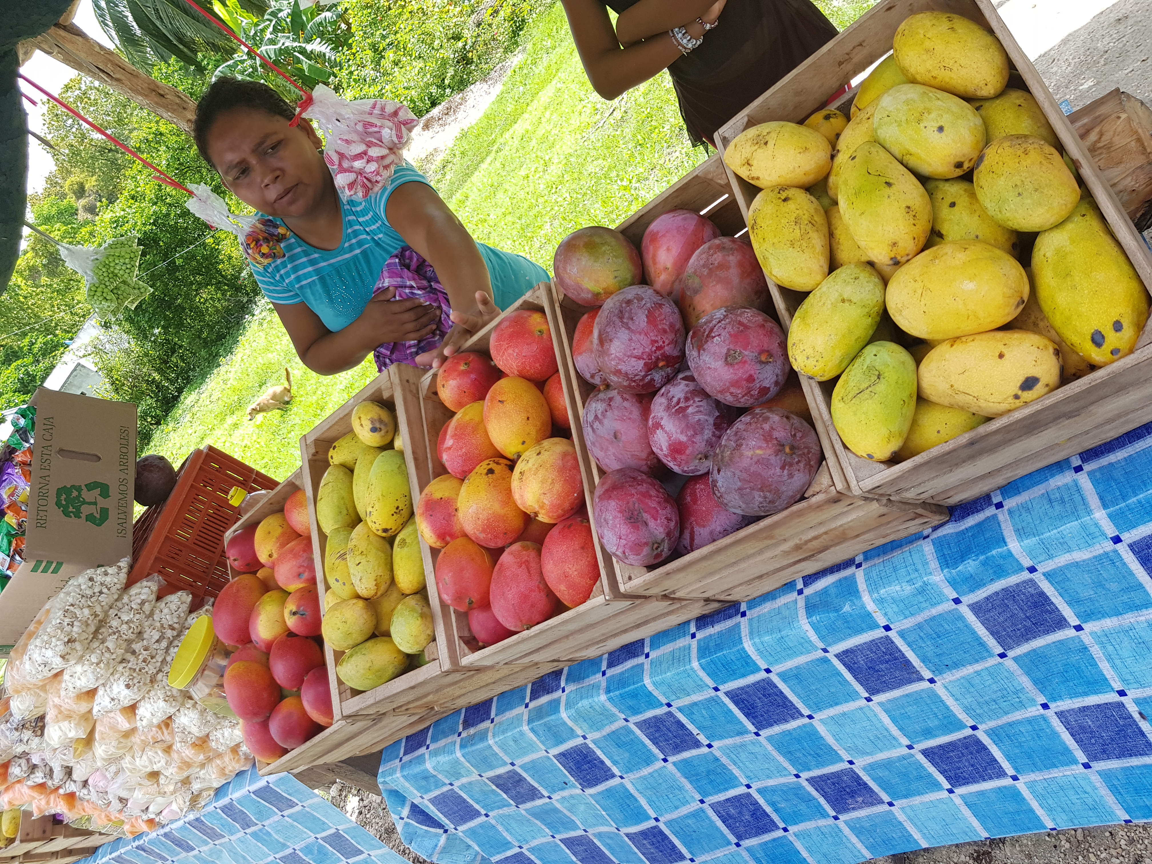 El Paso Del Trailero image 2