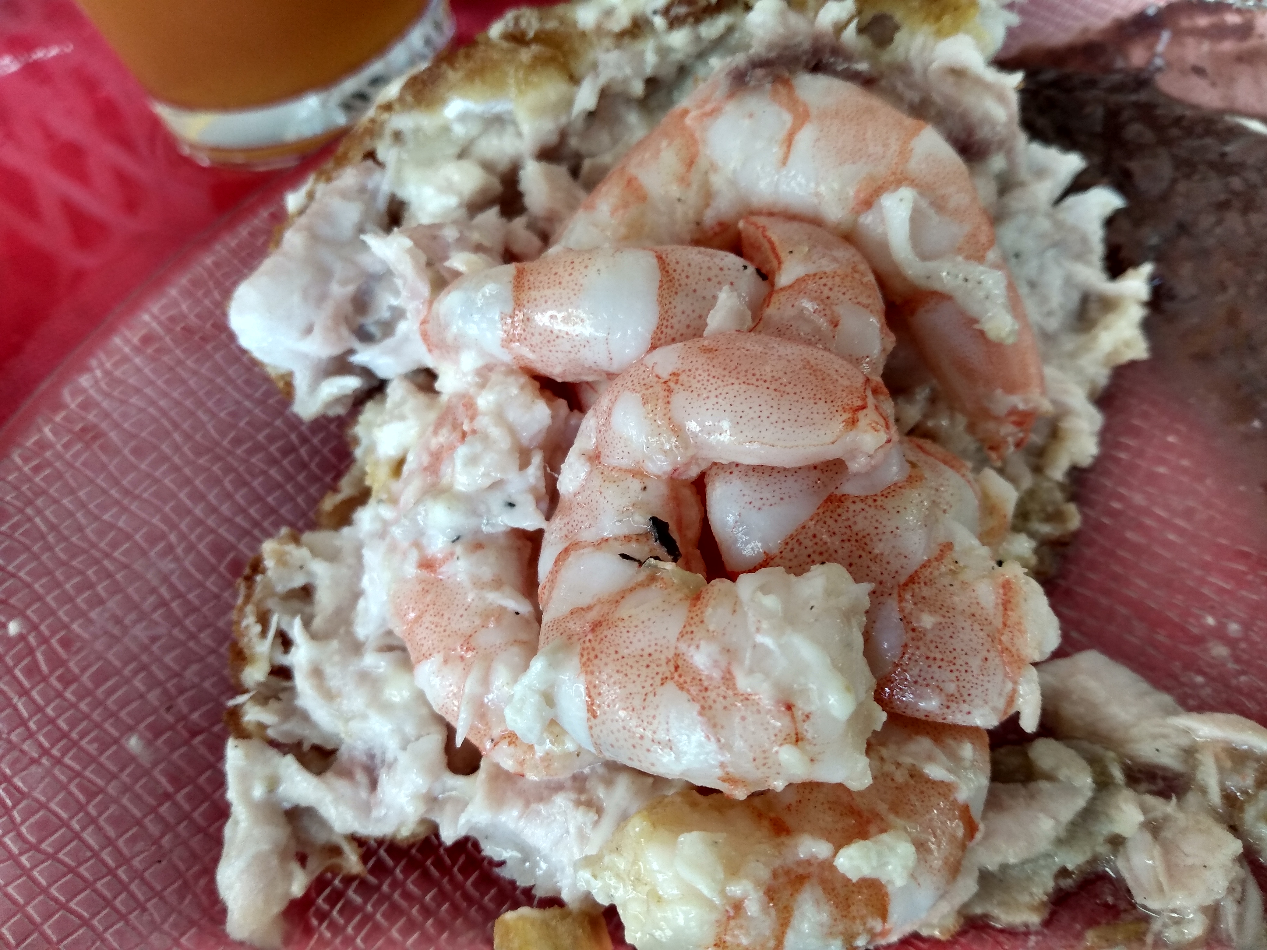 El Paso Del Trailero image 6