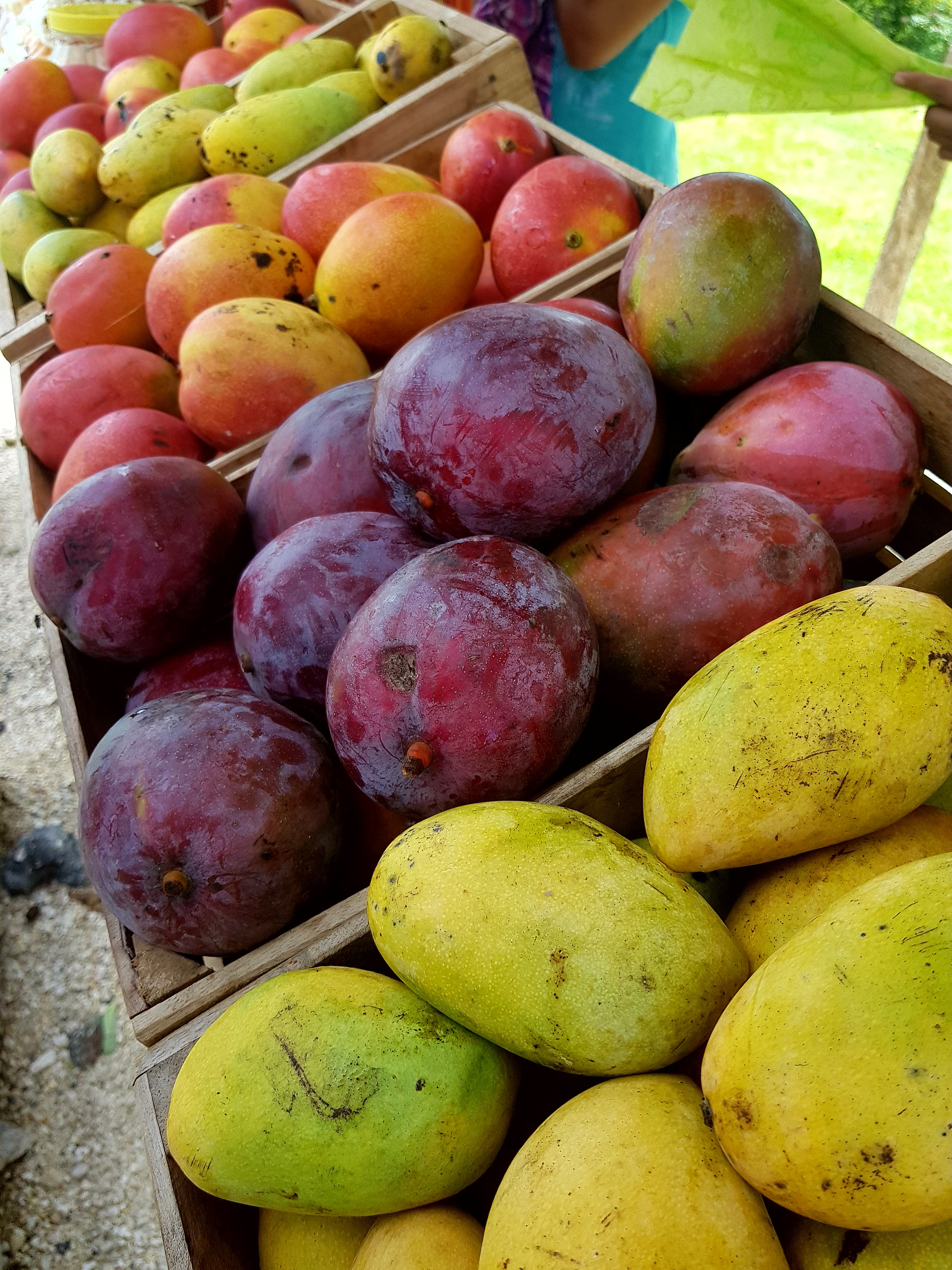 El Paso Del Trailero image 7