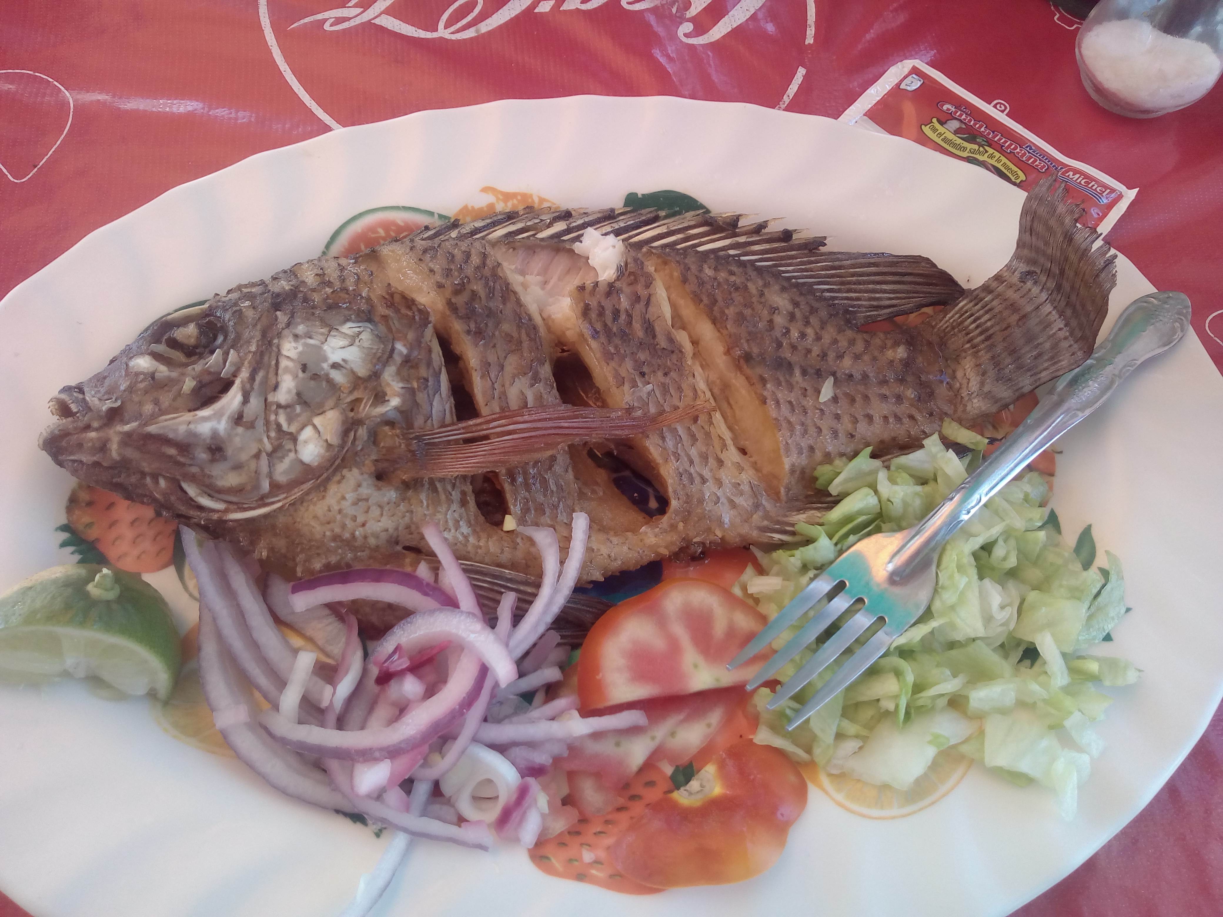 El Paso Del Trailero image 8