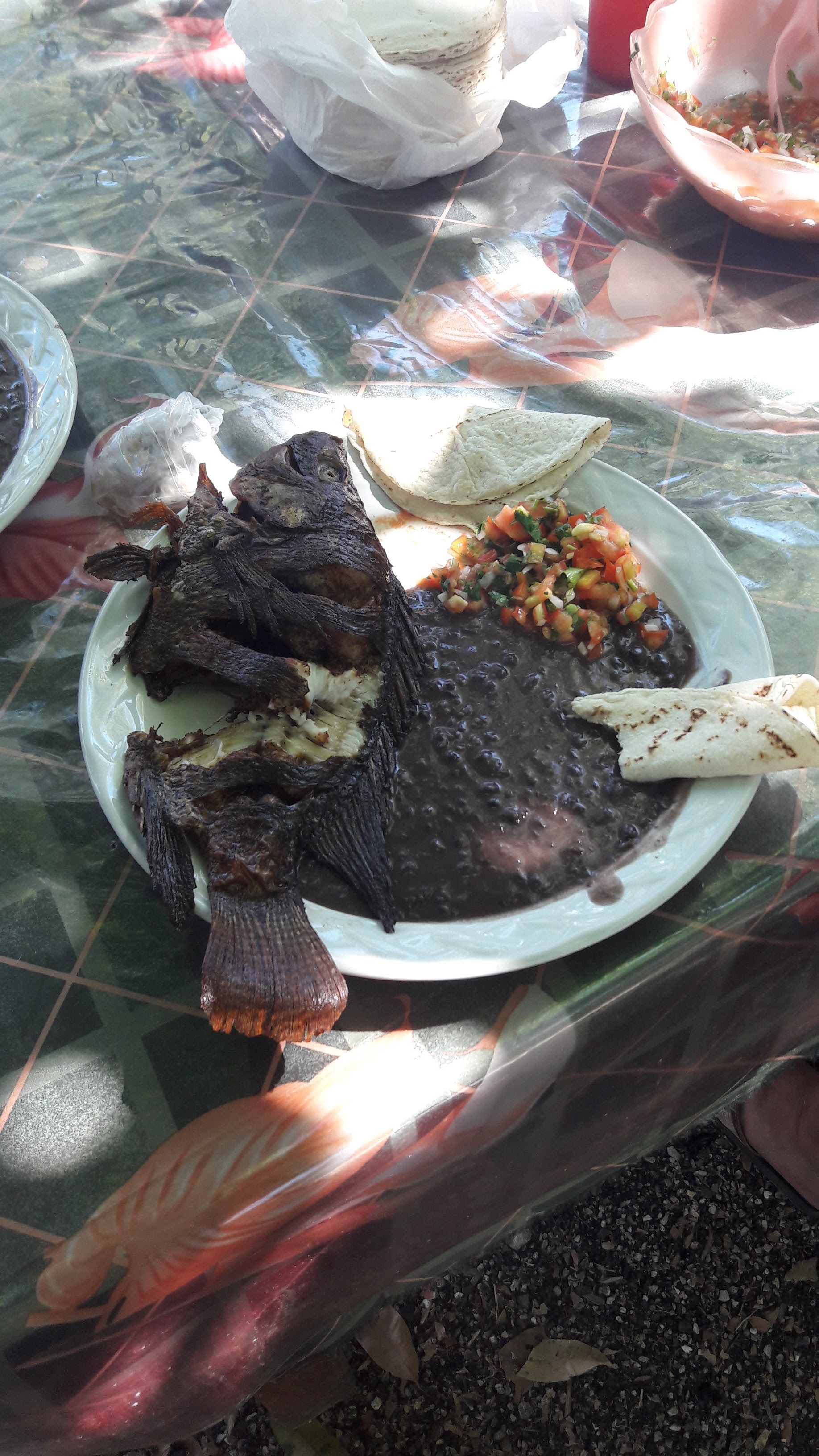 El Paso Del Trailero image 10