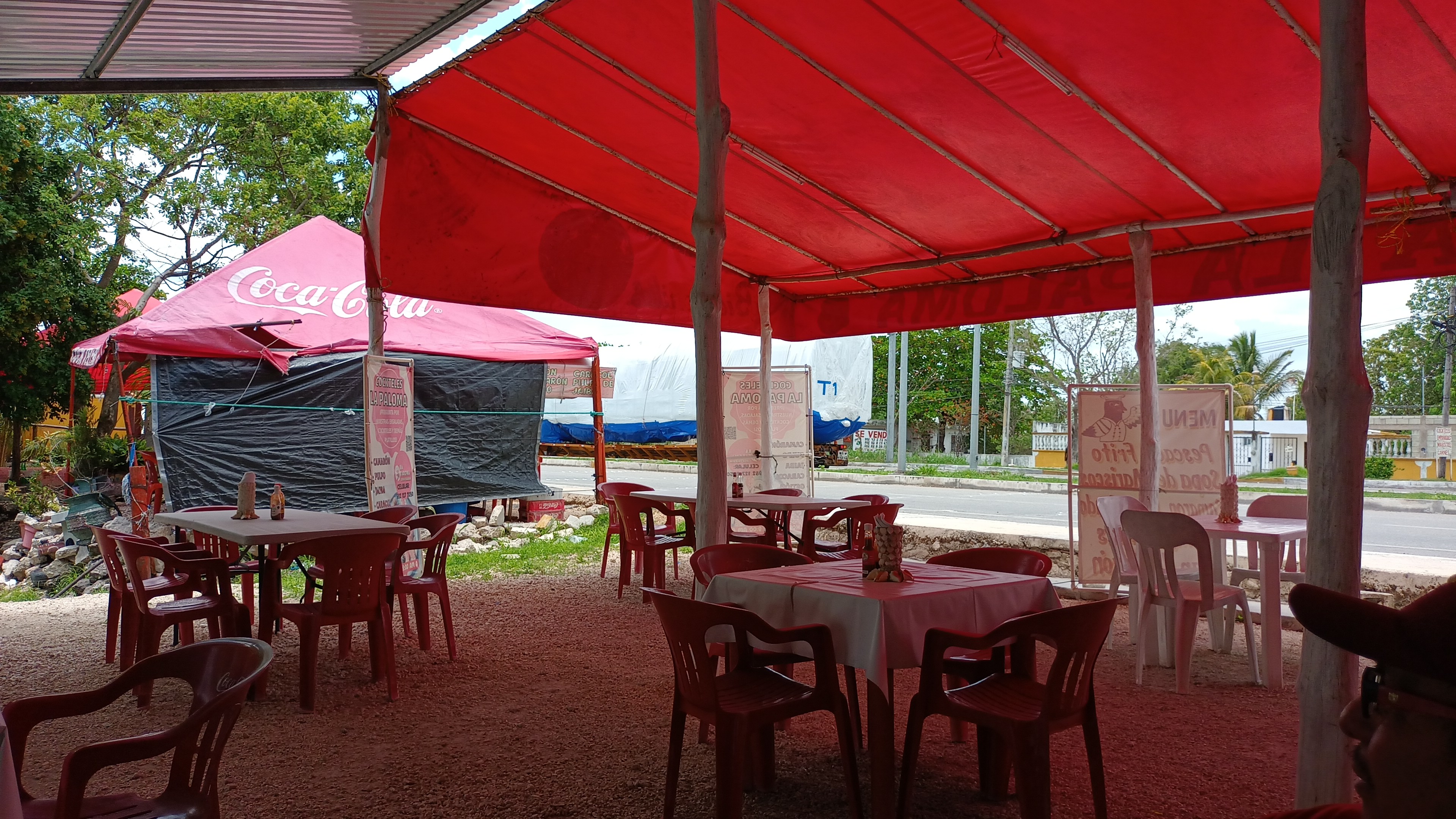 Cockteleria La Paloma image 1