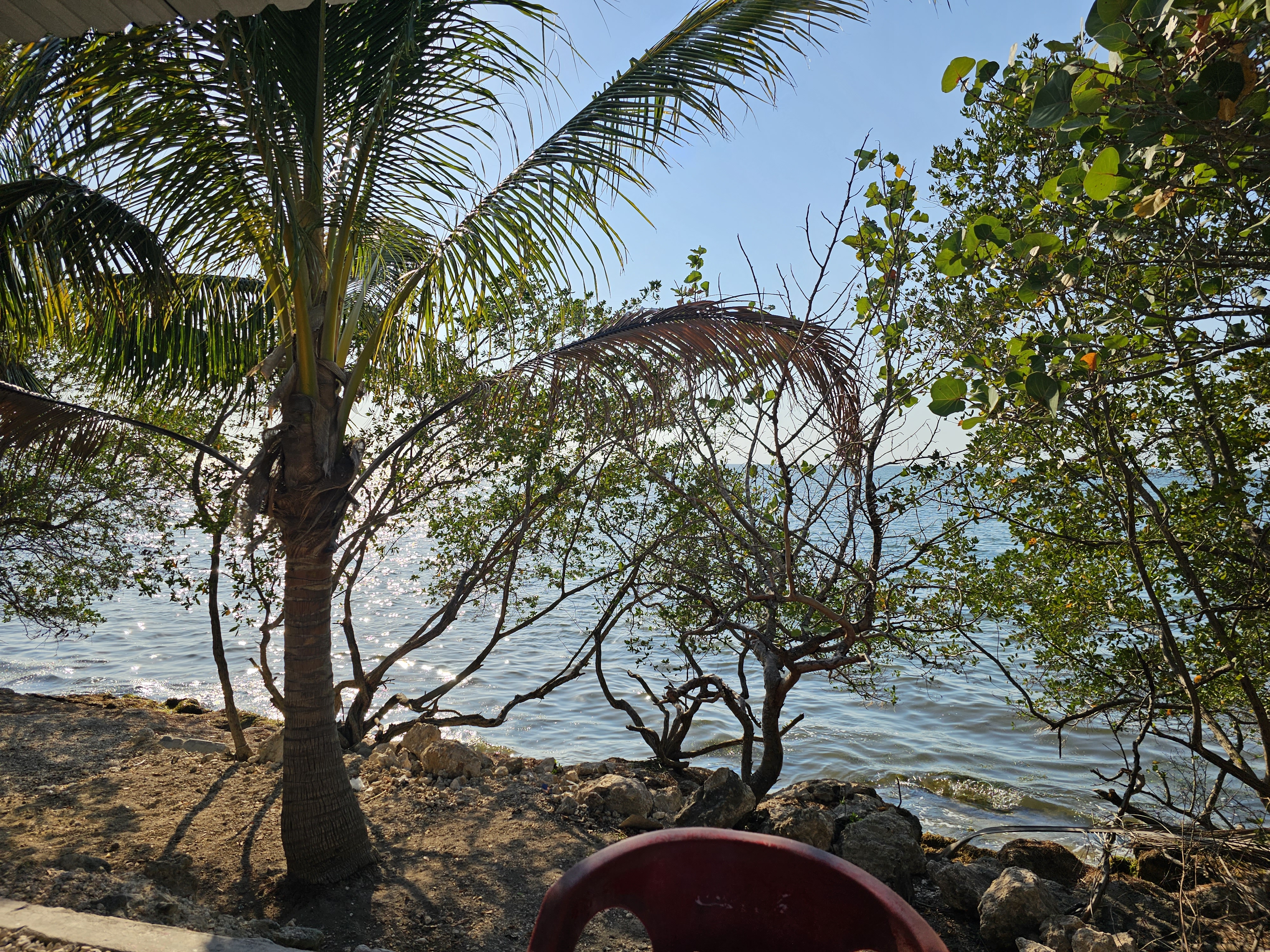 Cockteleria La Paloma image 3