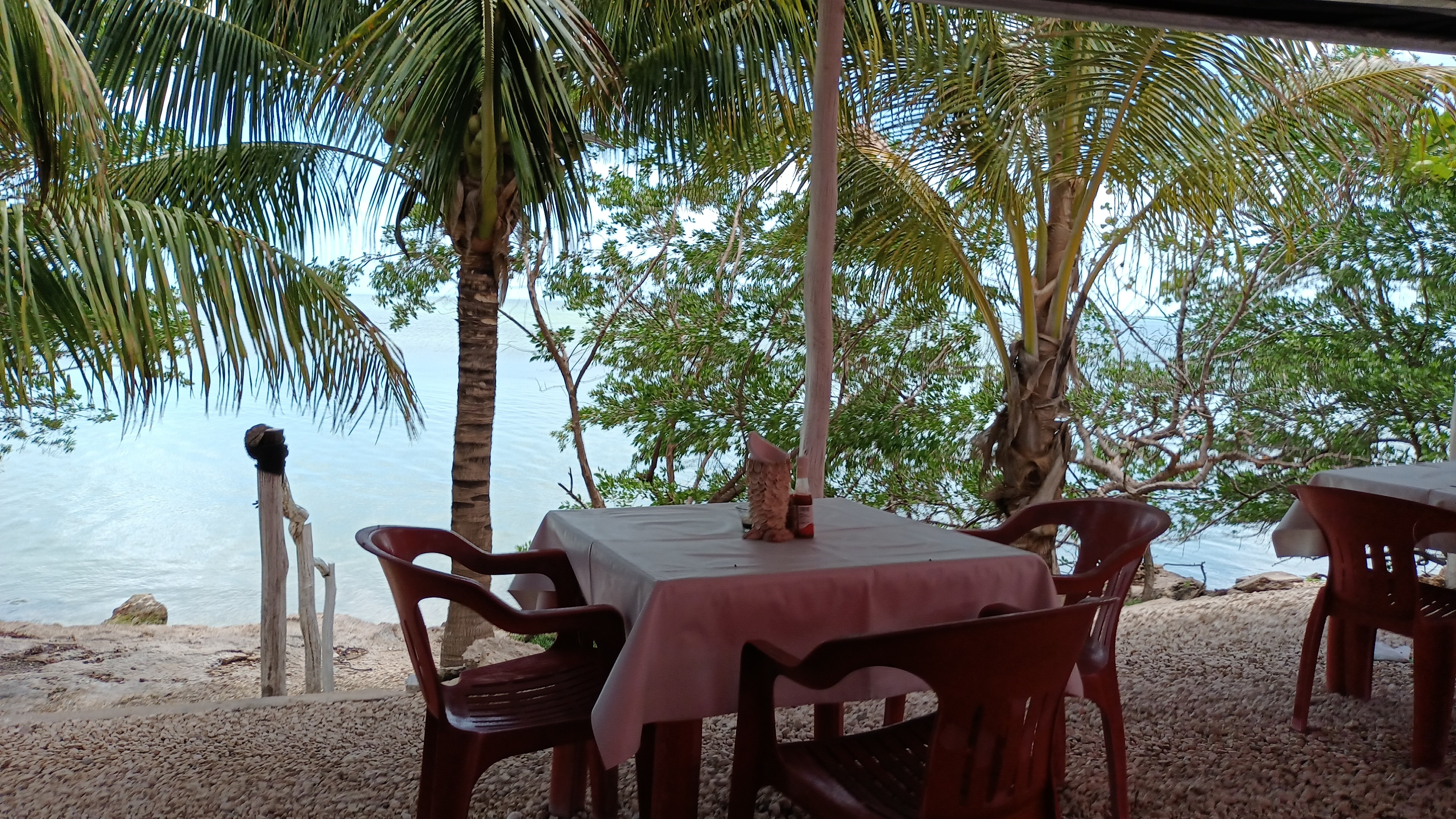 Cockteleria La Paloma image 4