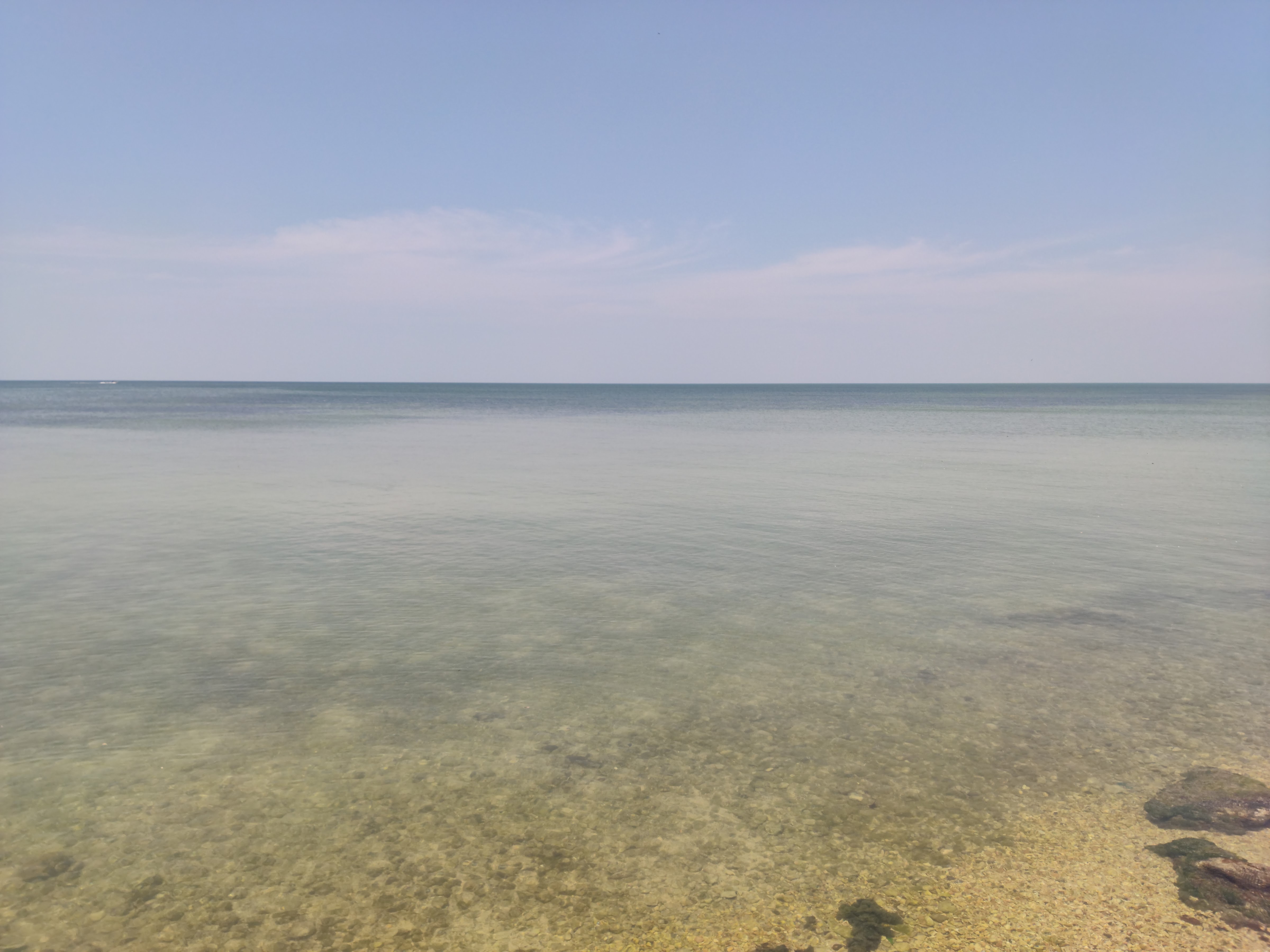 Cockteleria La Paloma image 6