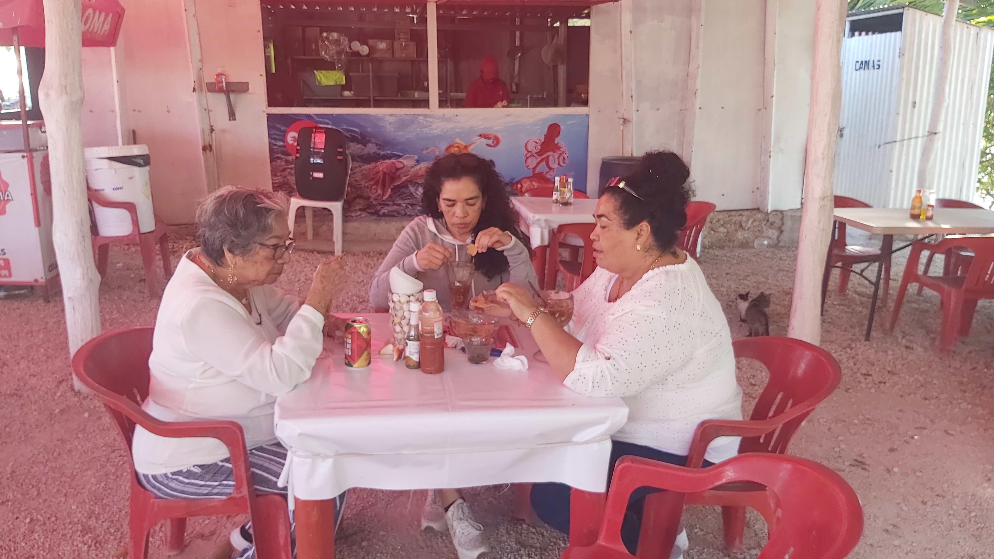 Cockteleria La Paloma image 8