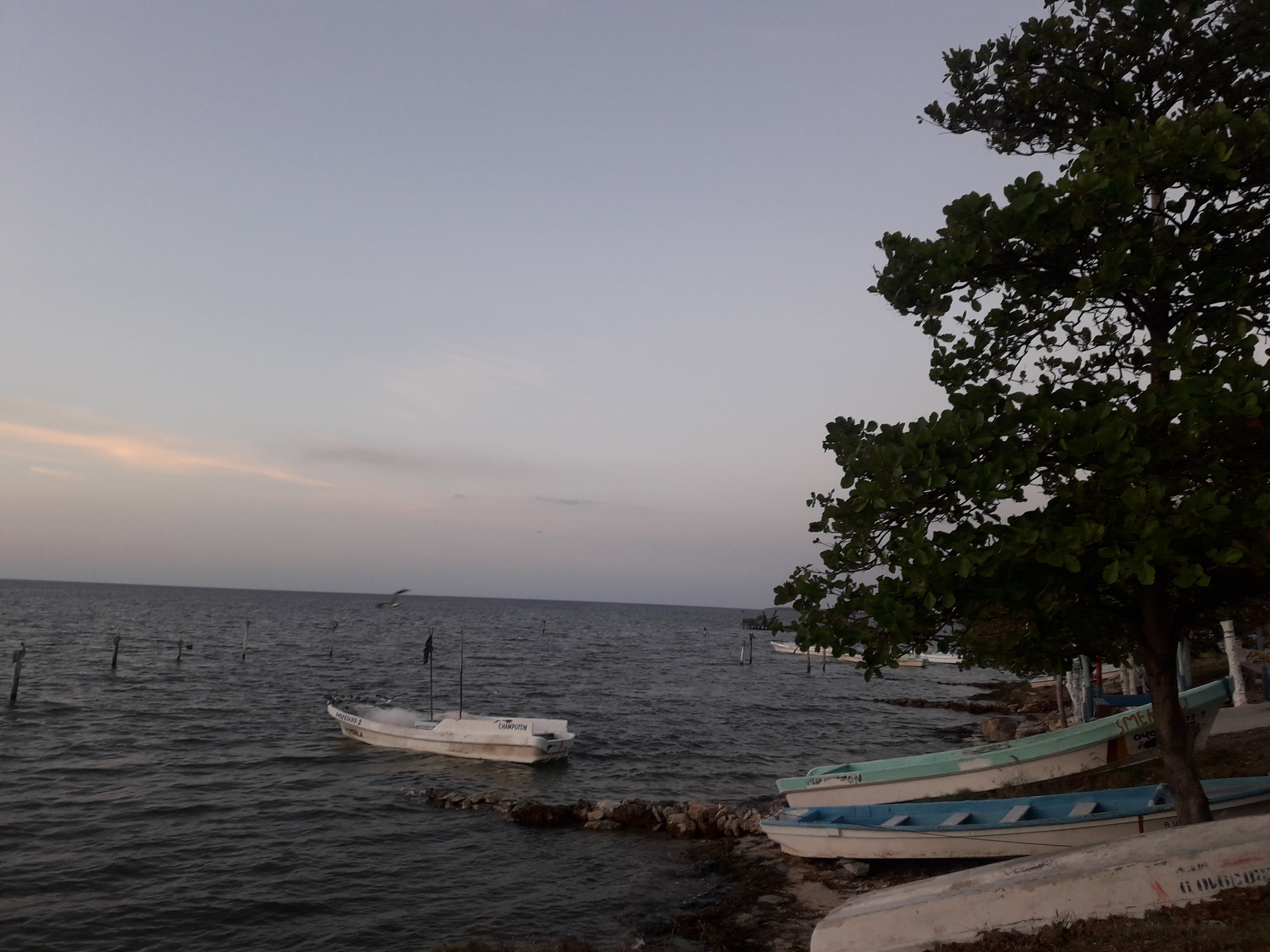 RANCHUGUBIÑA image 5