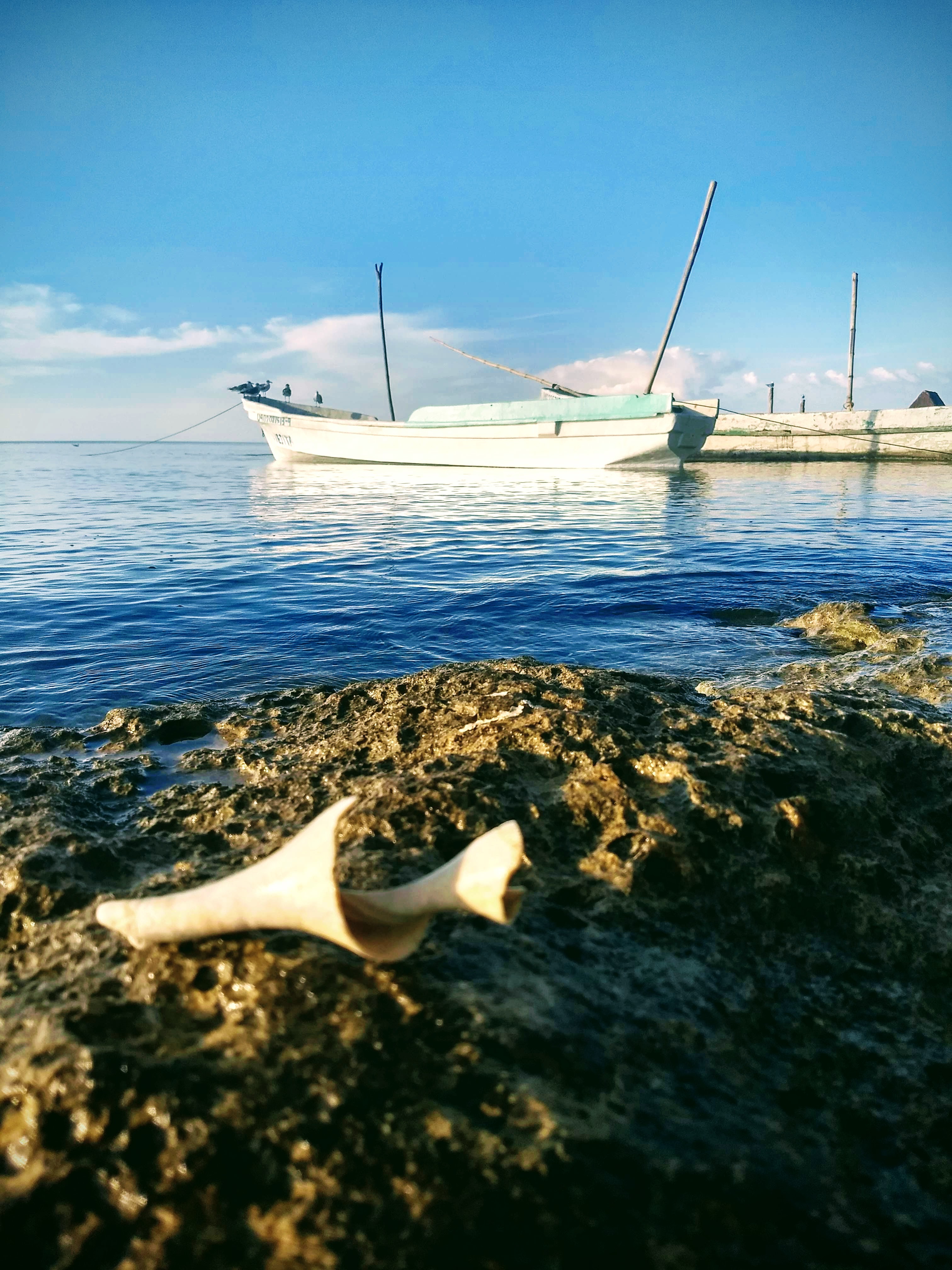 RANCHUGUBIÑA image 9