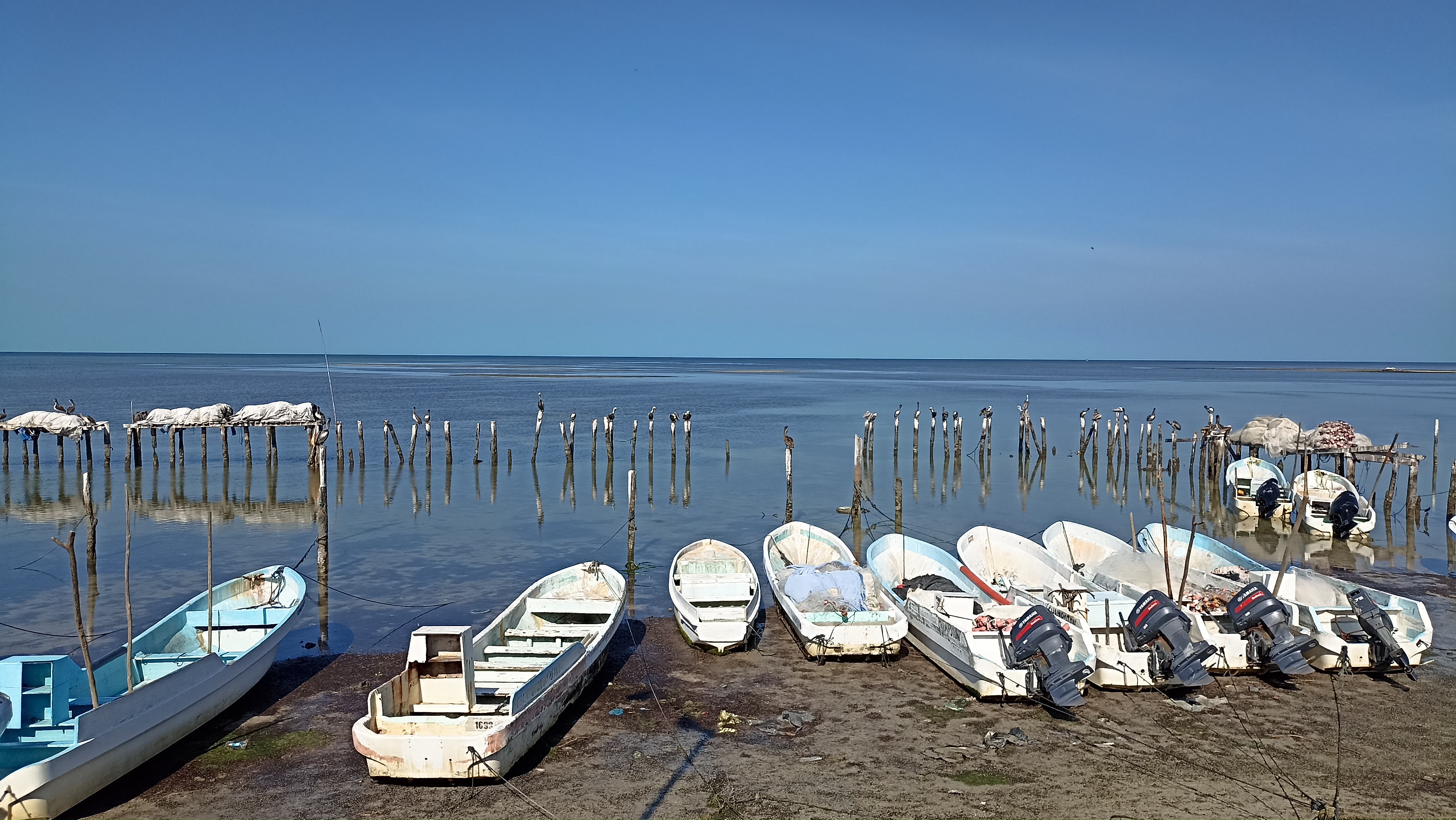 Torta de camaron image 4
