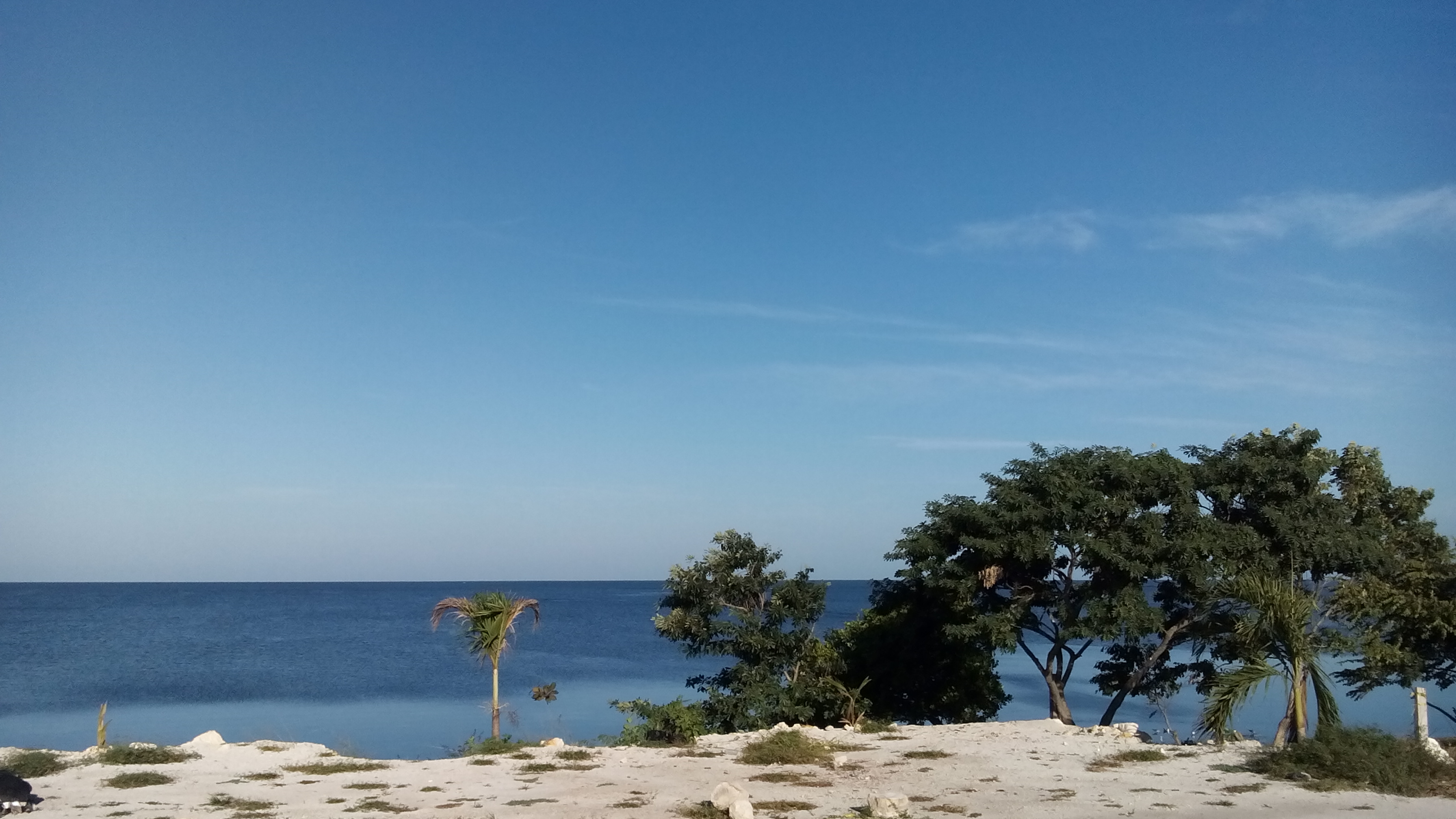 COCKTELERIA EL CAMARON VIAJERO image 1