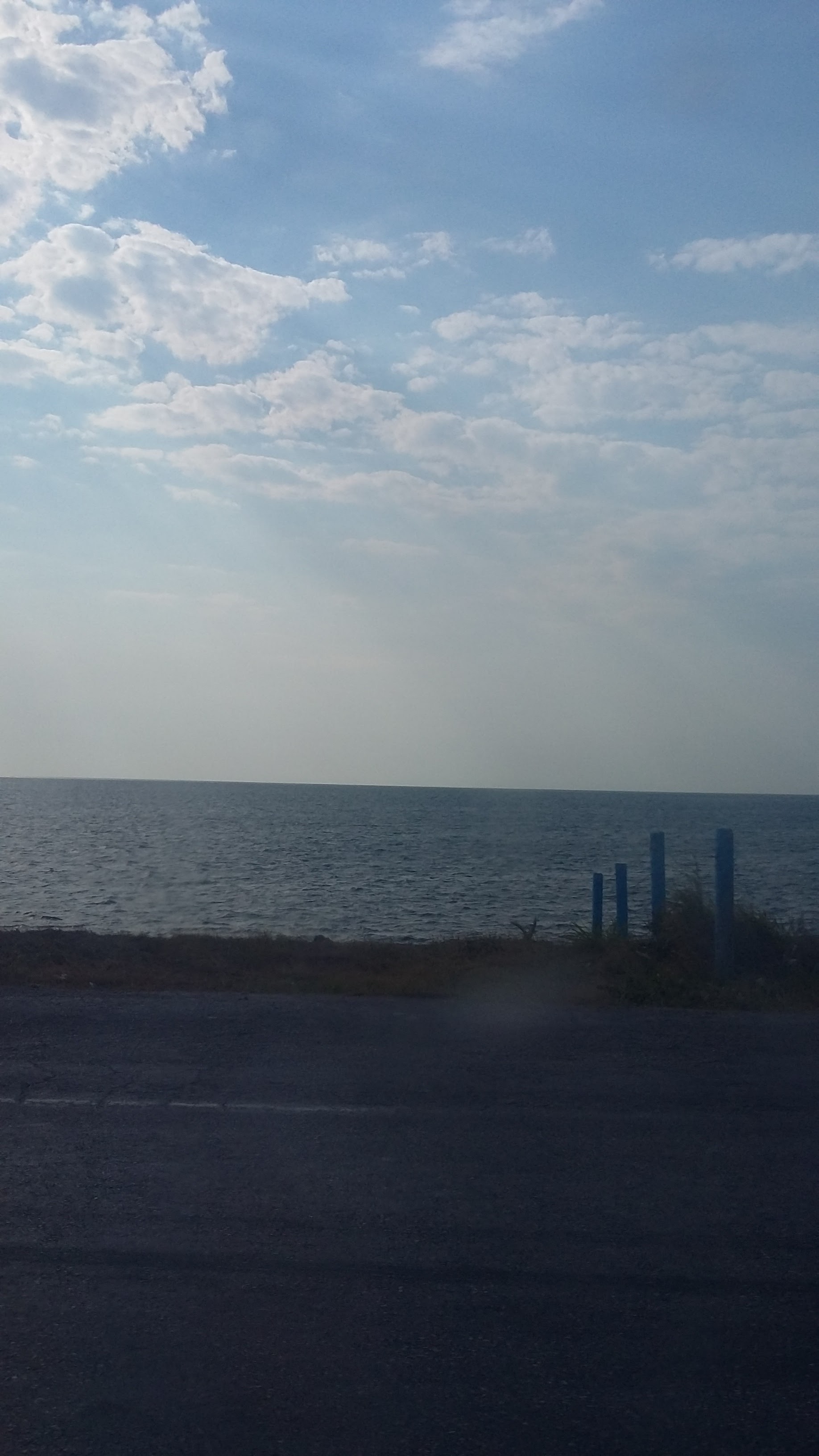 COCKTELERIA EL CAMARON VIAJERO image 4