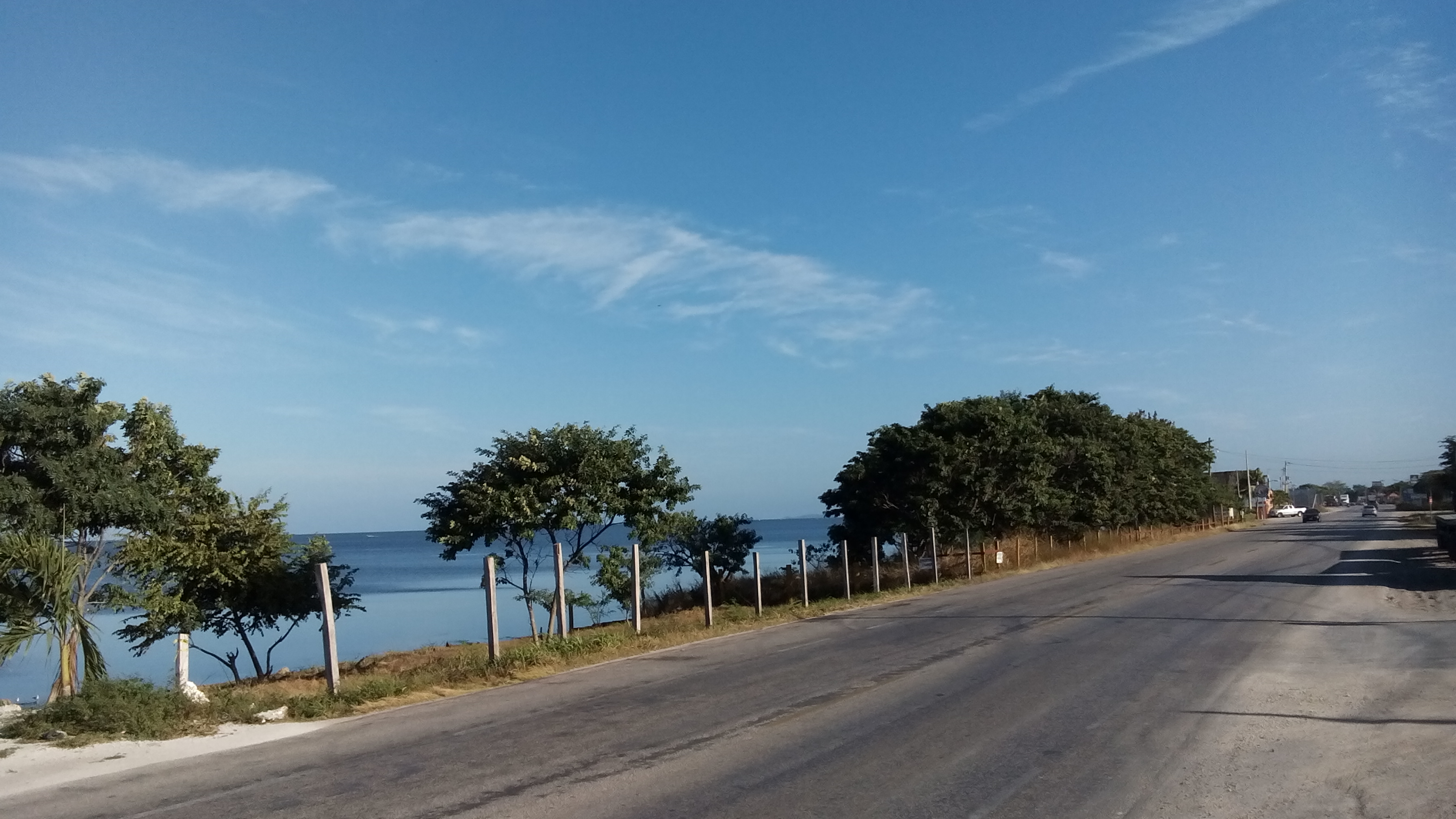 COCKTELERIA EL CAMARON VIAJERO image 8