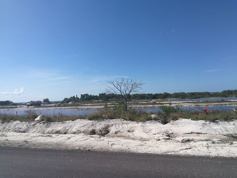 La Choza image 8