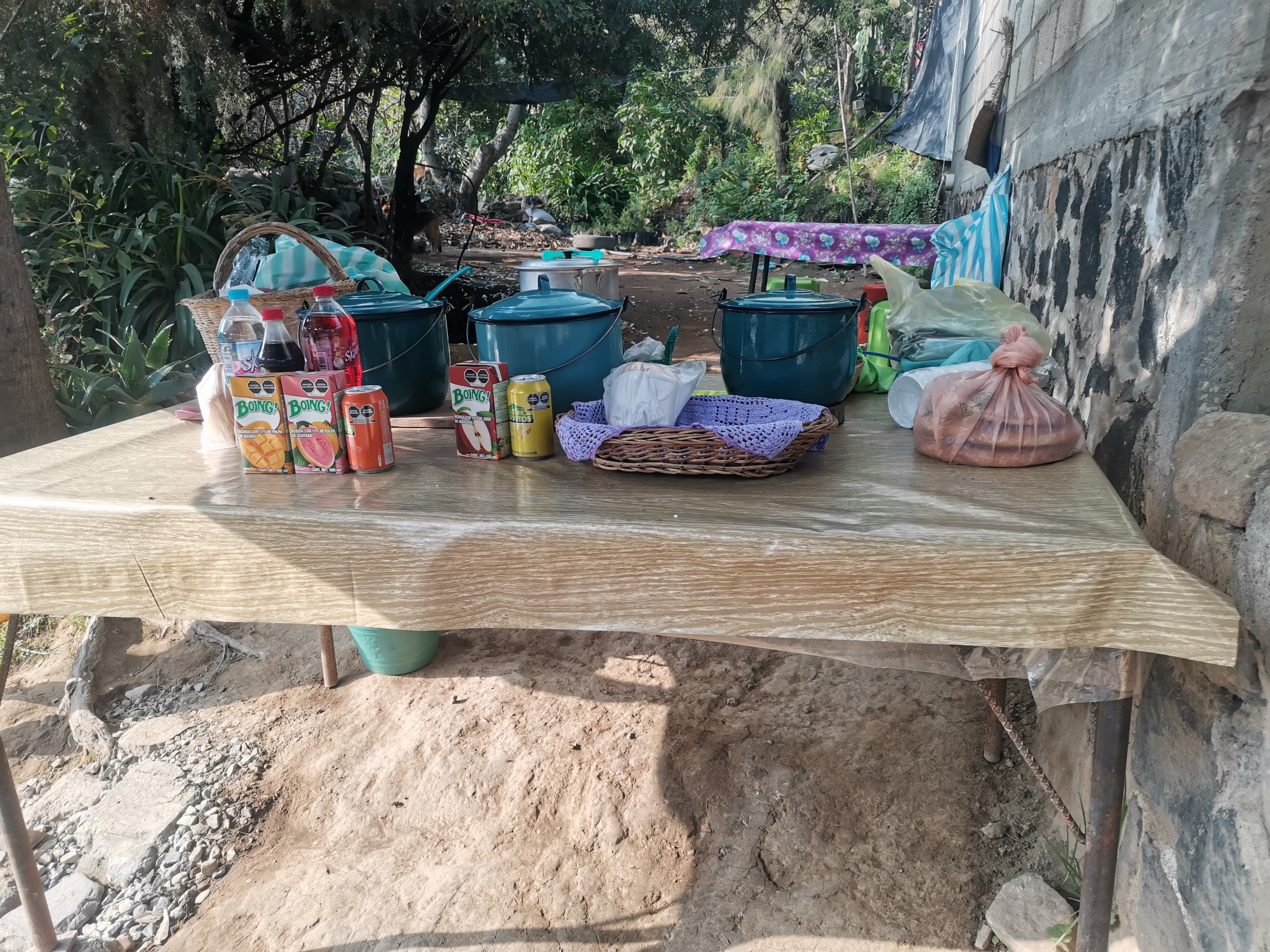 Tamales y tortas doña Rosa image 1