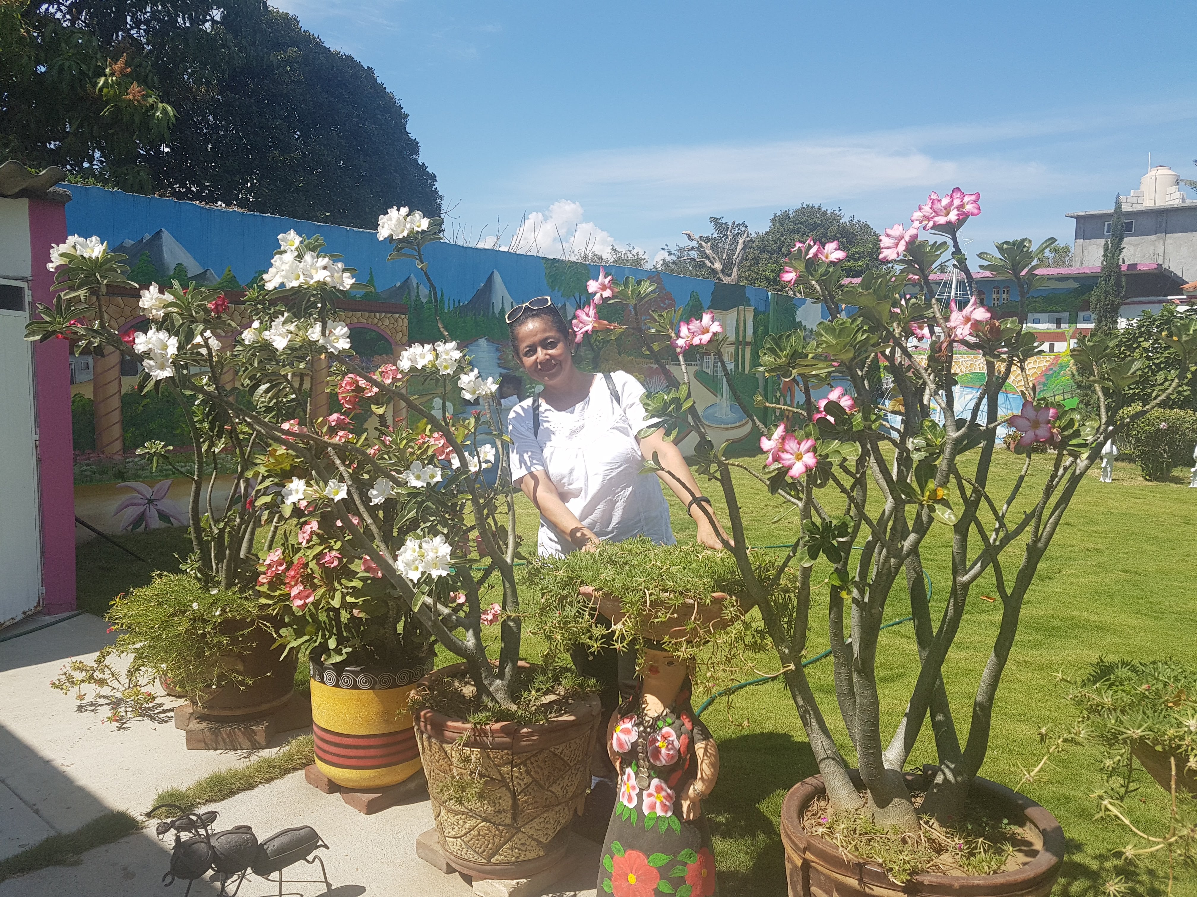 Barbacoa Doña Carmen image 6