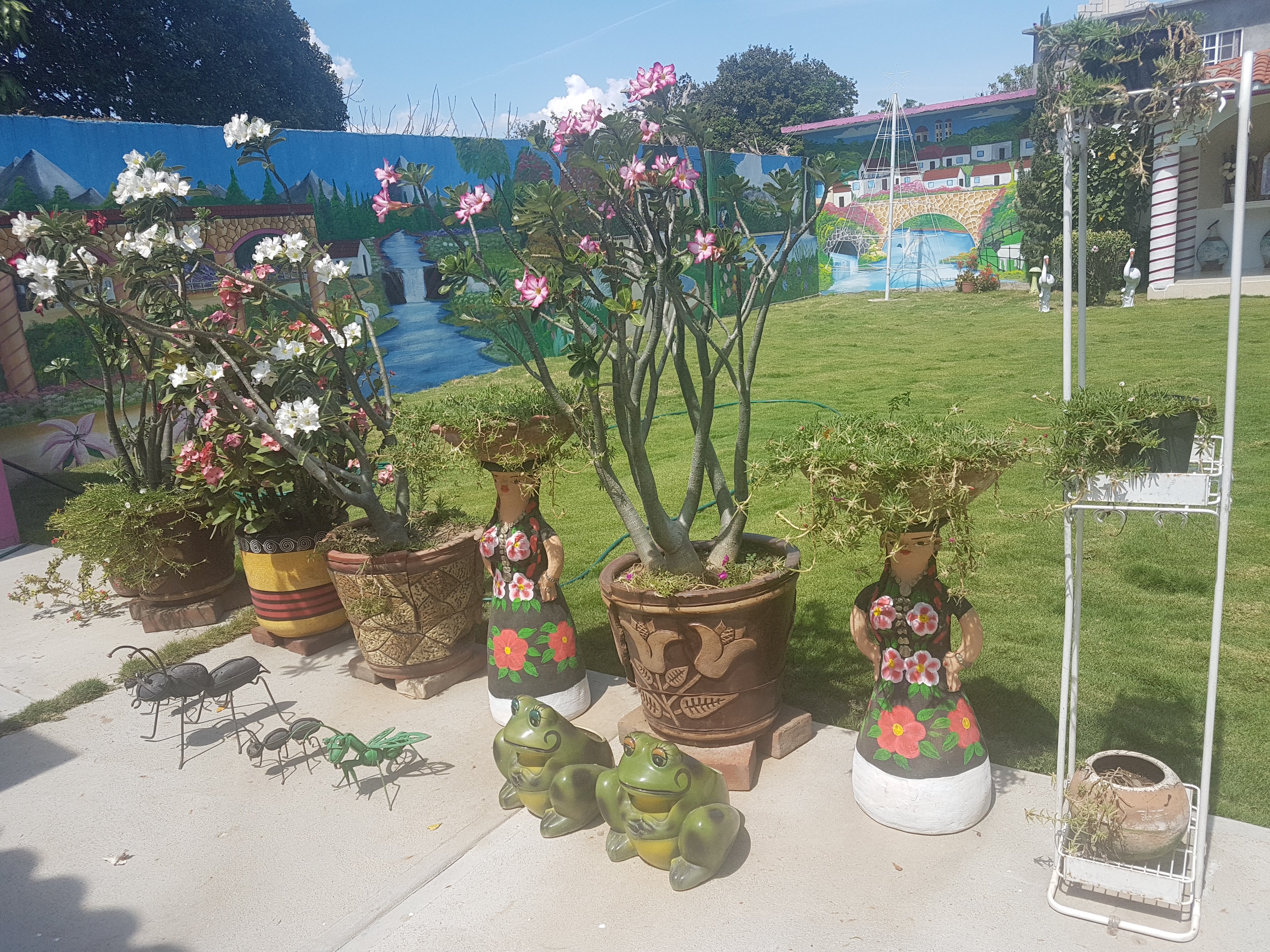 Barbacoa Doña Carmen image 8