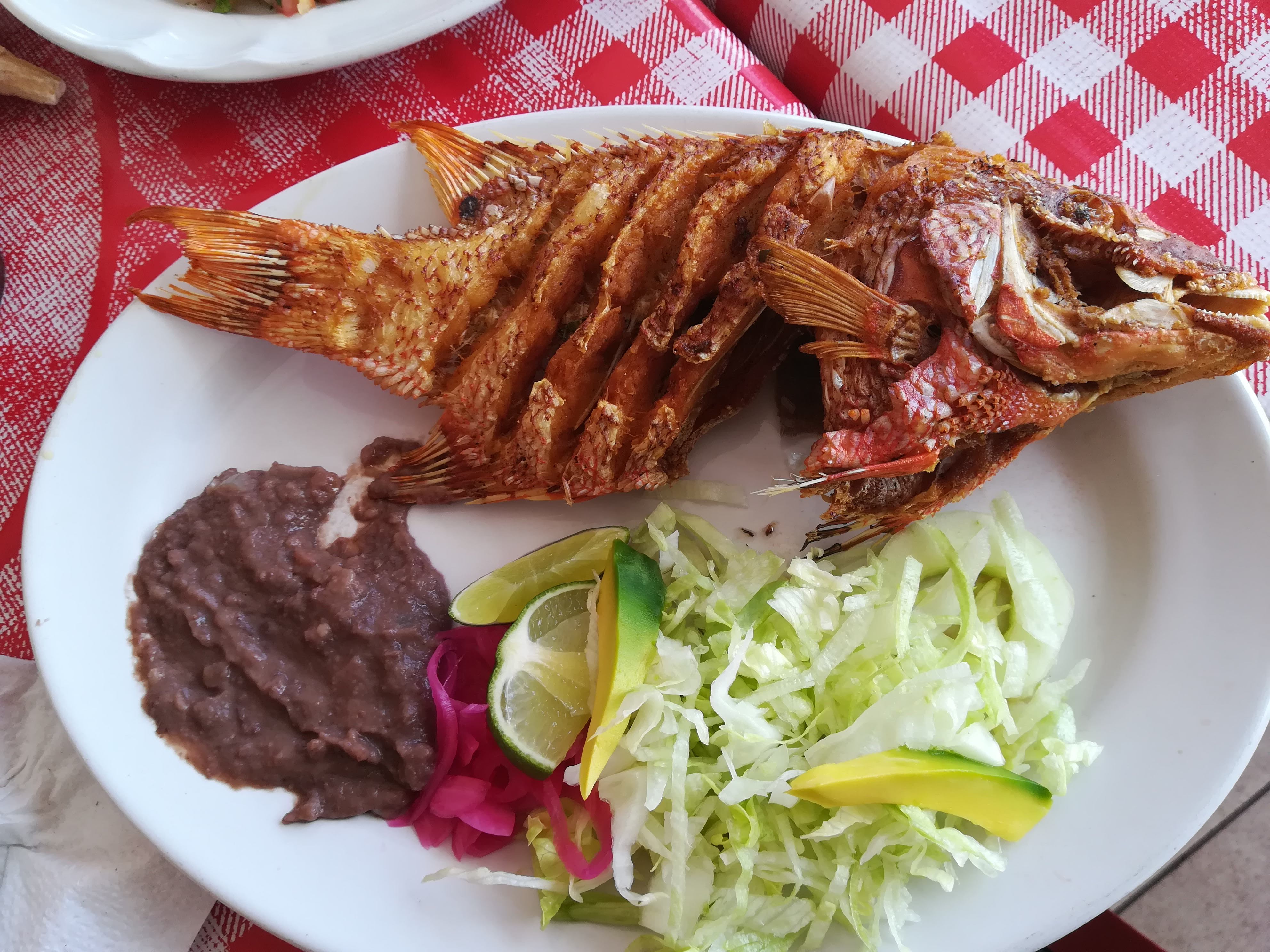 Restaurante Estrella de Mar II image 2