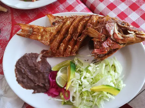 Restaurante Estrella de Mar II image 2
