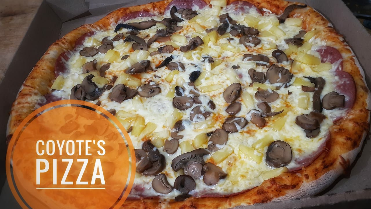 Coyote's pizza image 1