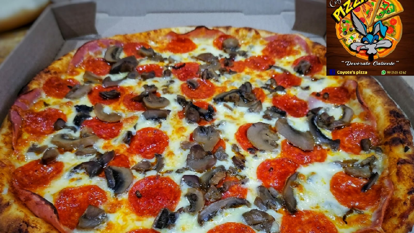 Coyote's pizza image 4