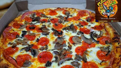 Coyote's pizza image 4