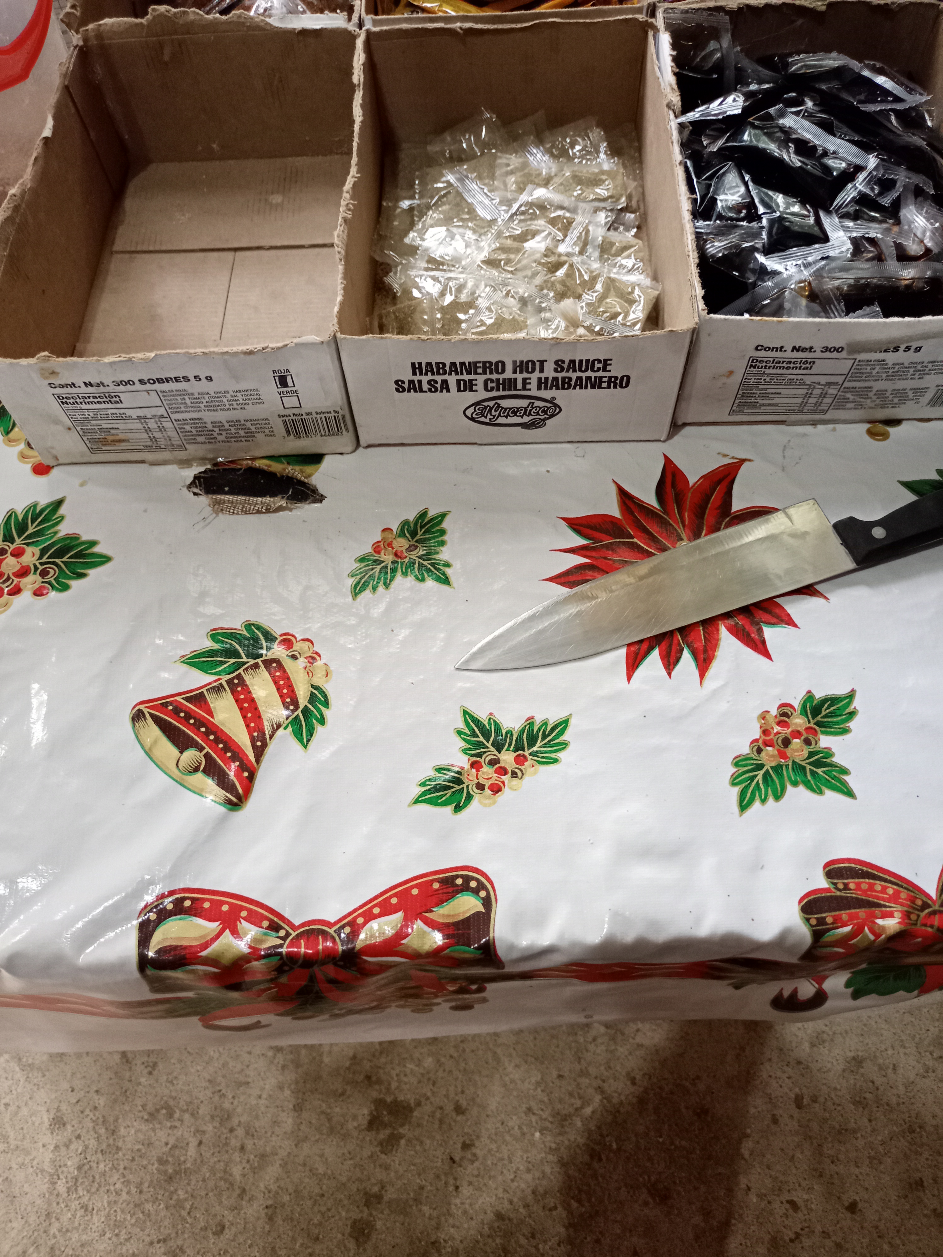 Pizzeria doña tere image 2