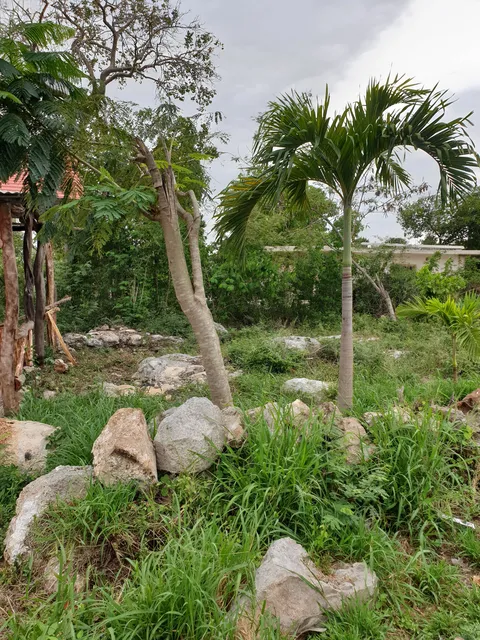 Cabaña Maya image 3