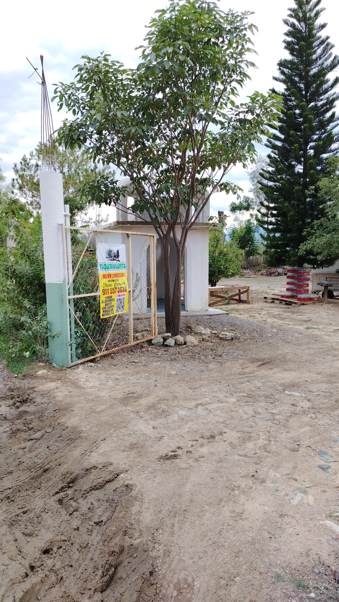 Taquería Lupita image 4