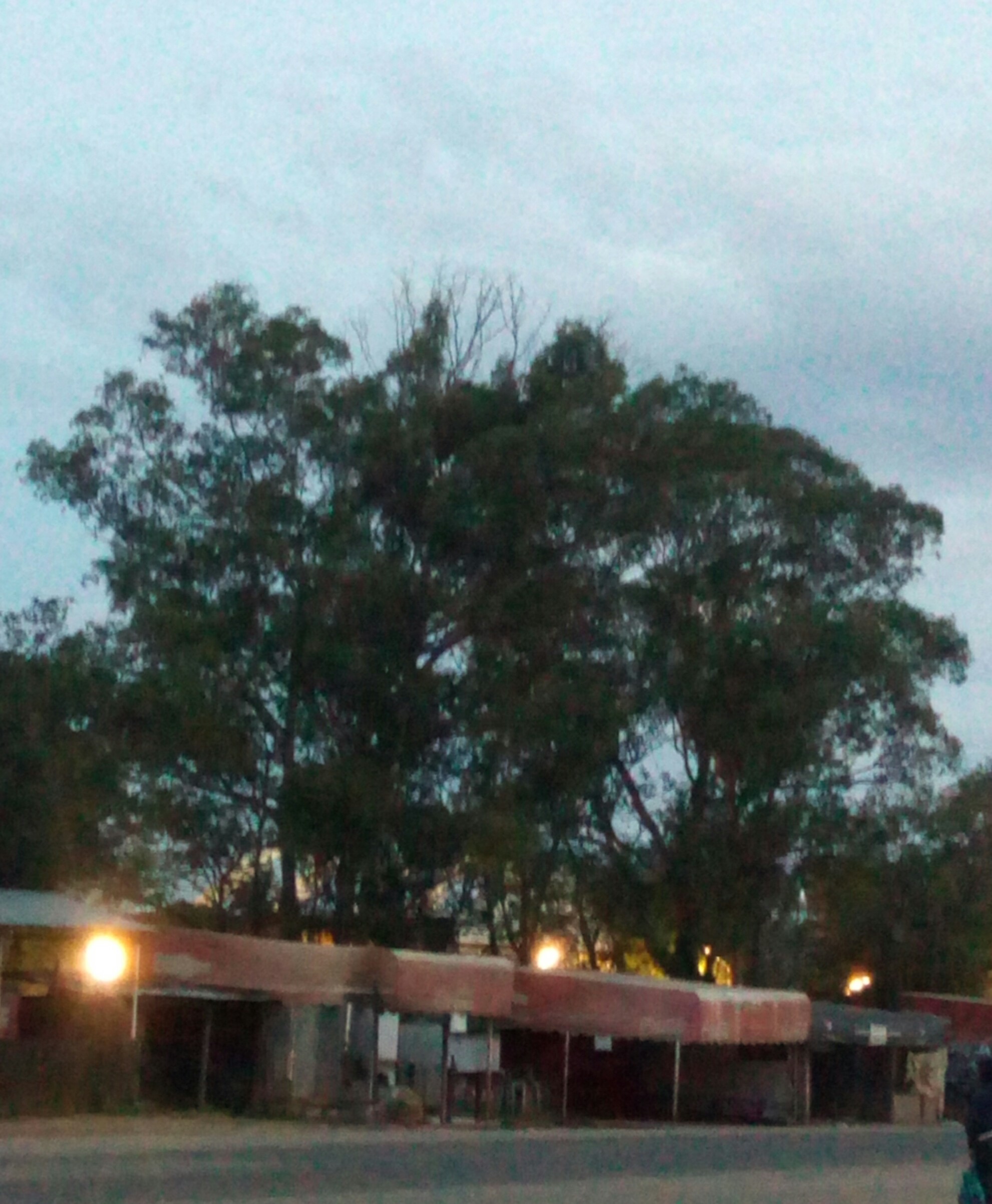 JM Tacos Y Tlayudas image 9