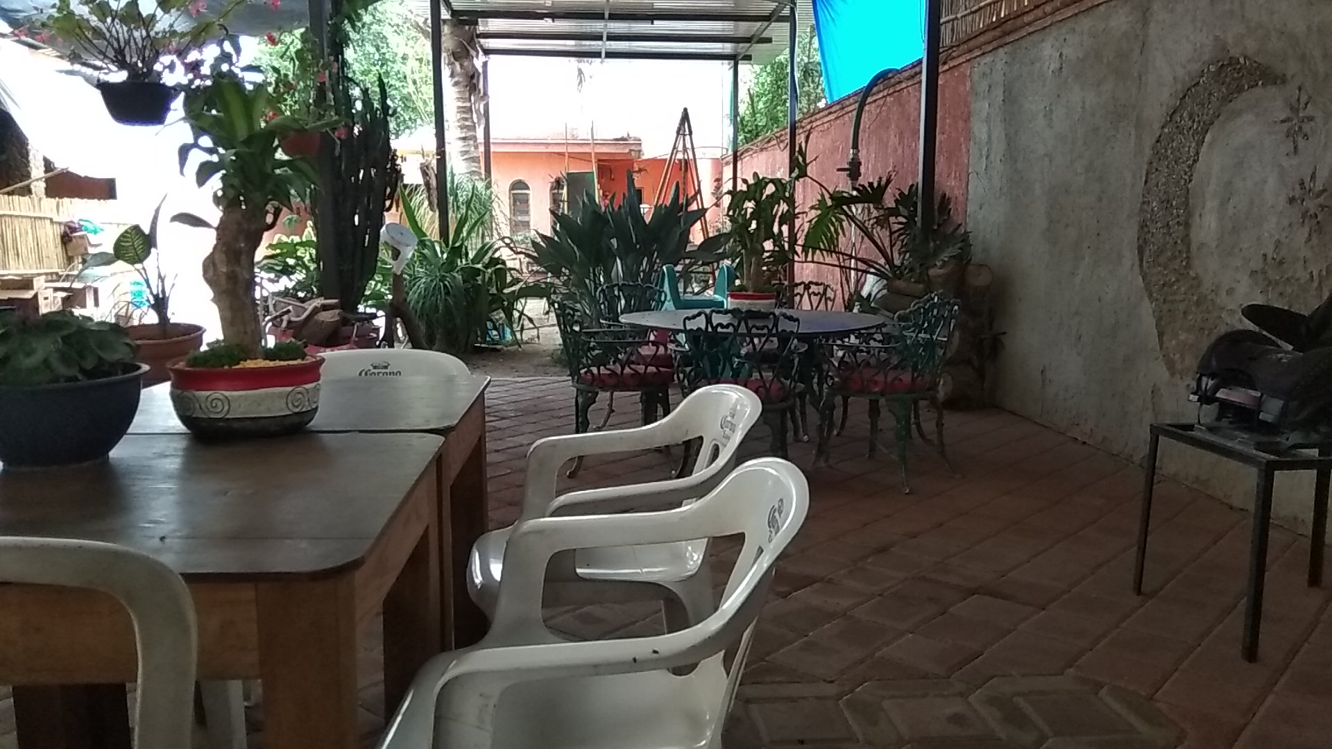 Restaurant Bar Los Leones. image 1